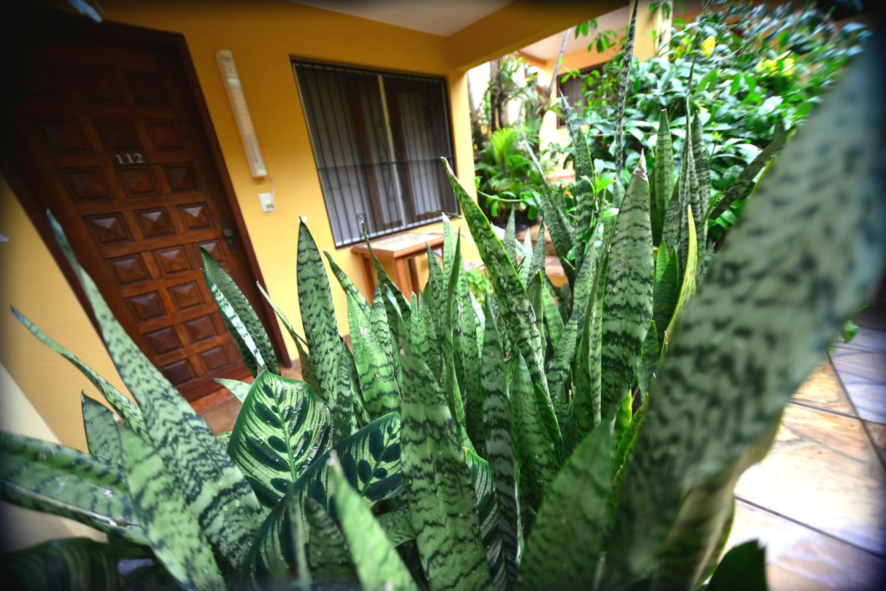 Property building in Hotel Lilian