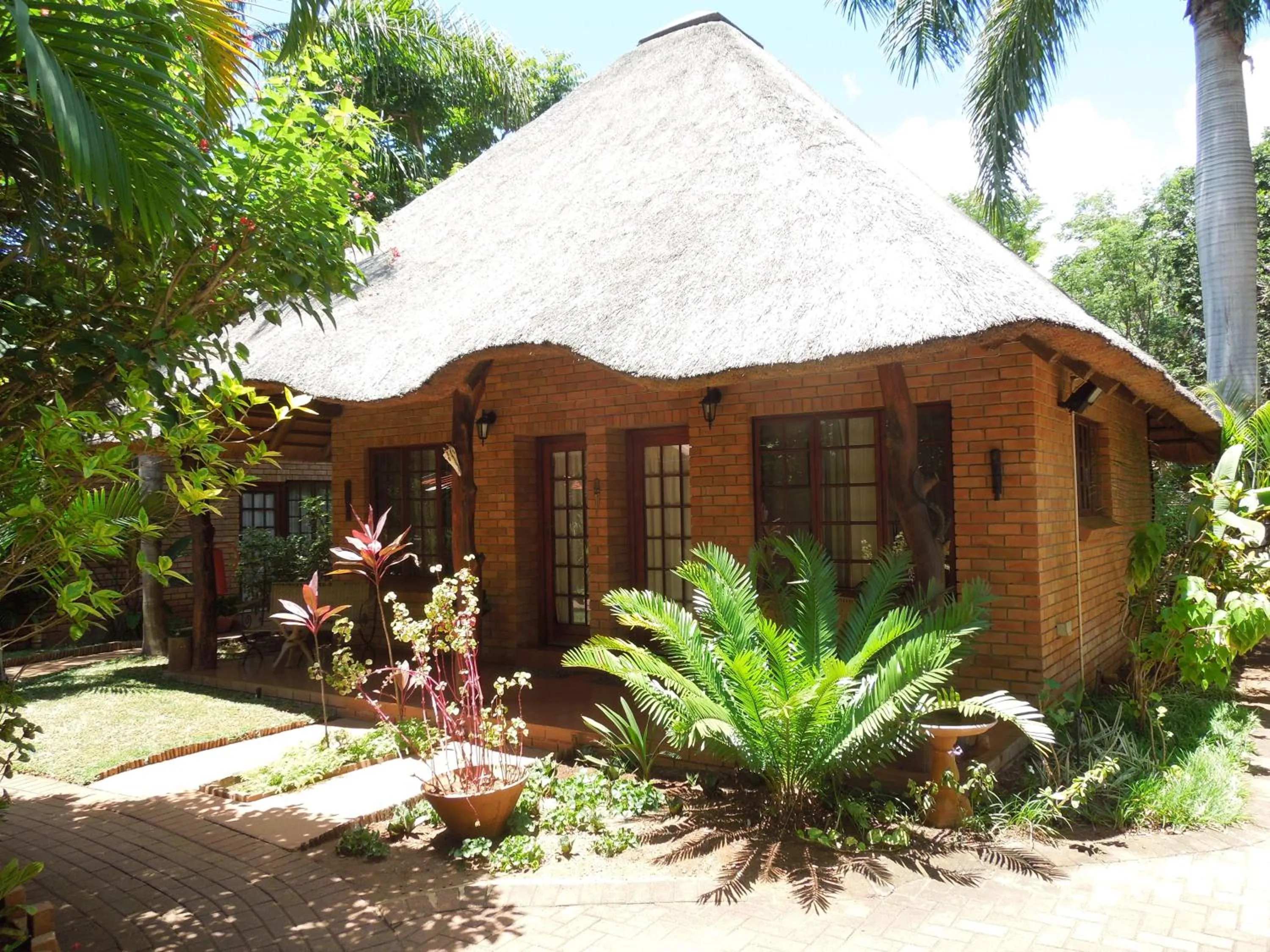 Patio in Trees Too Guest Lodge