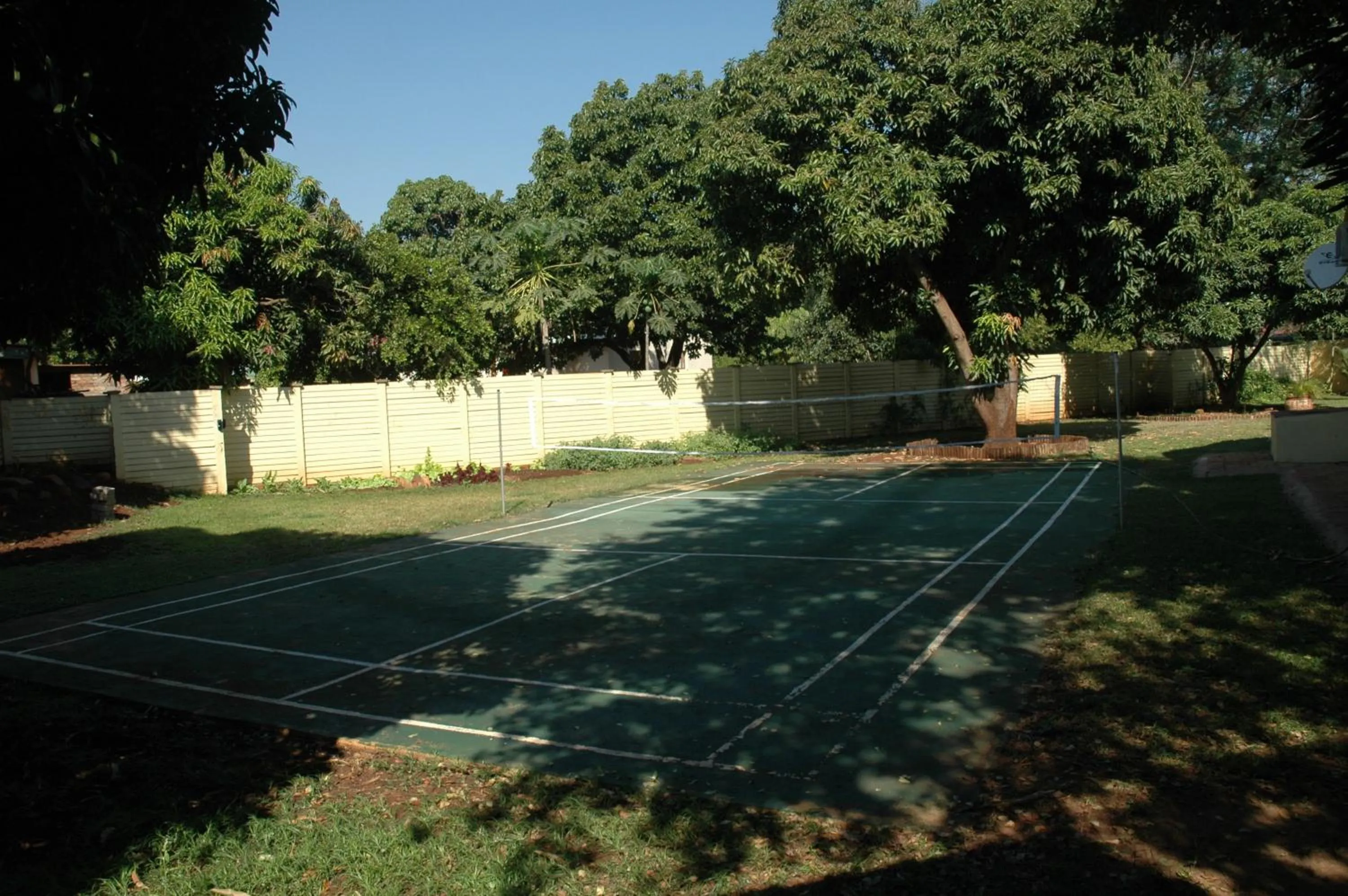 Activities in Trees Too Guest Lodge