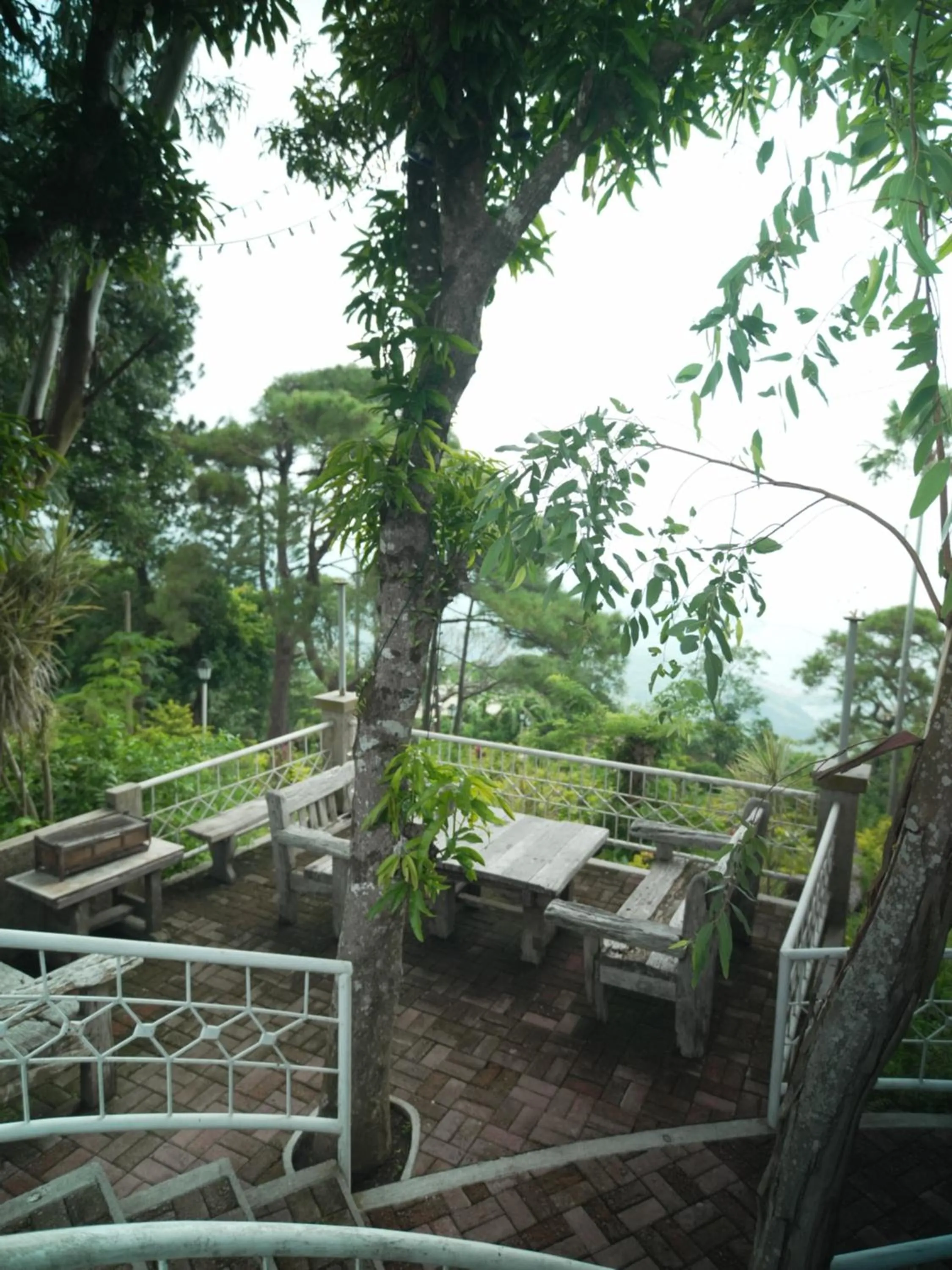 Natural landscape in The Carmelence View