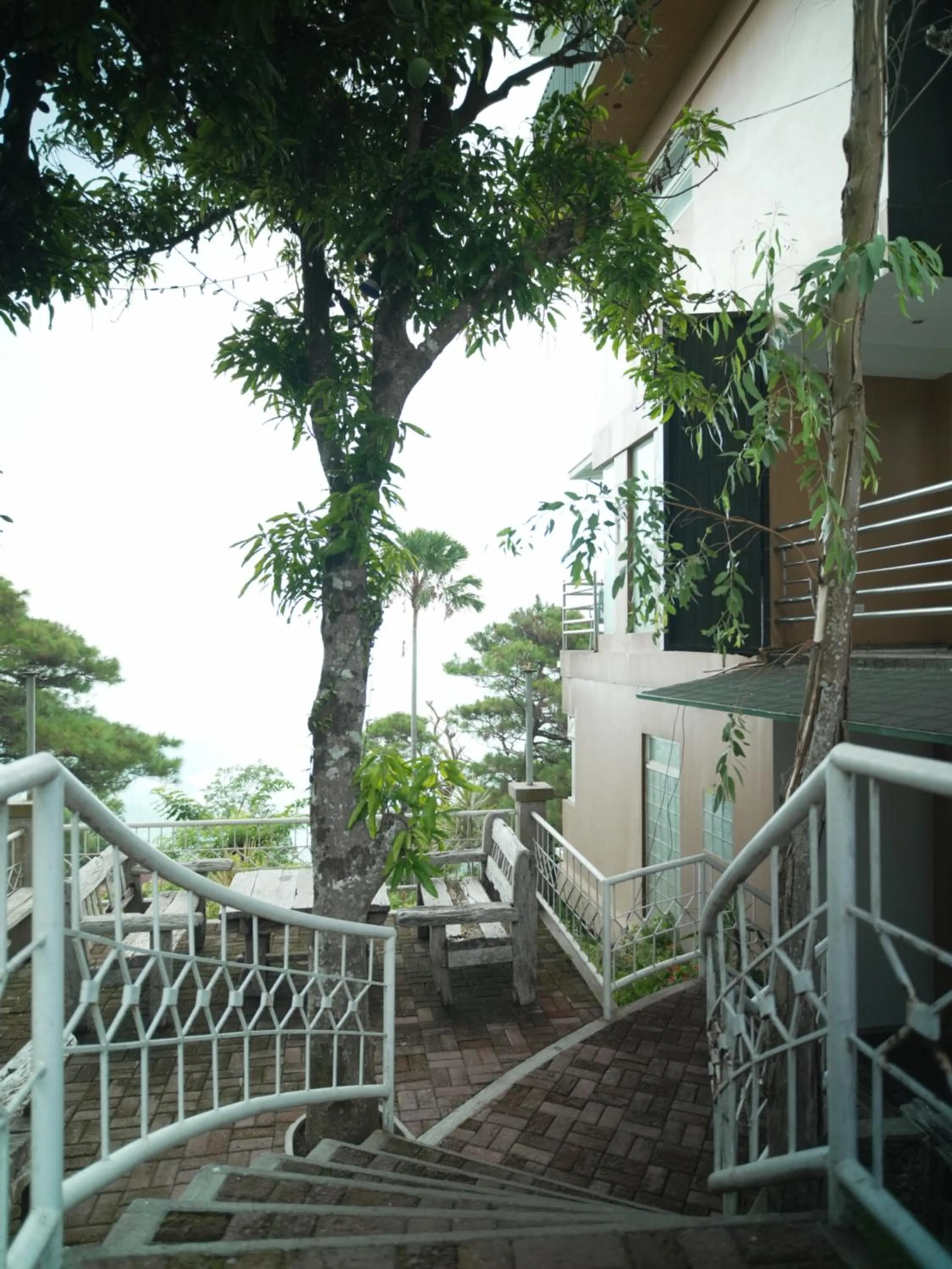 Natural landscape in The Carmelence View
