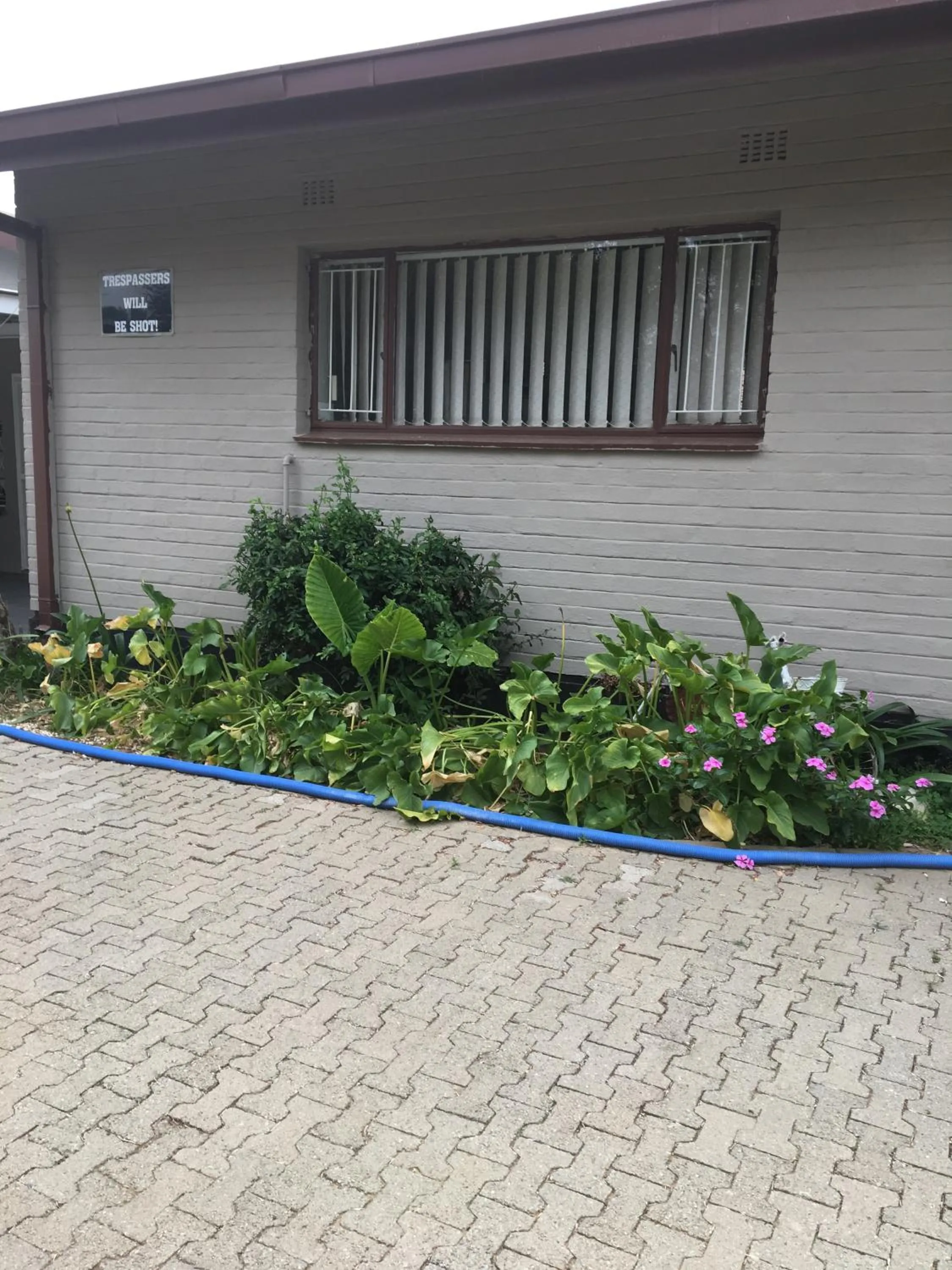 Facade/entrance in The Lighthouse Guesthouse