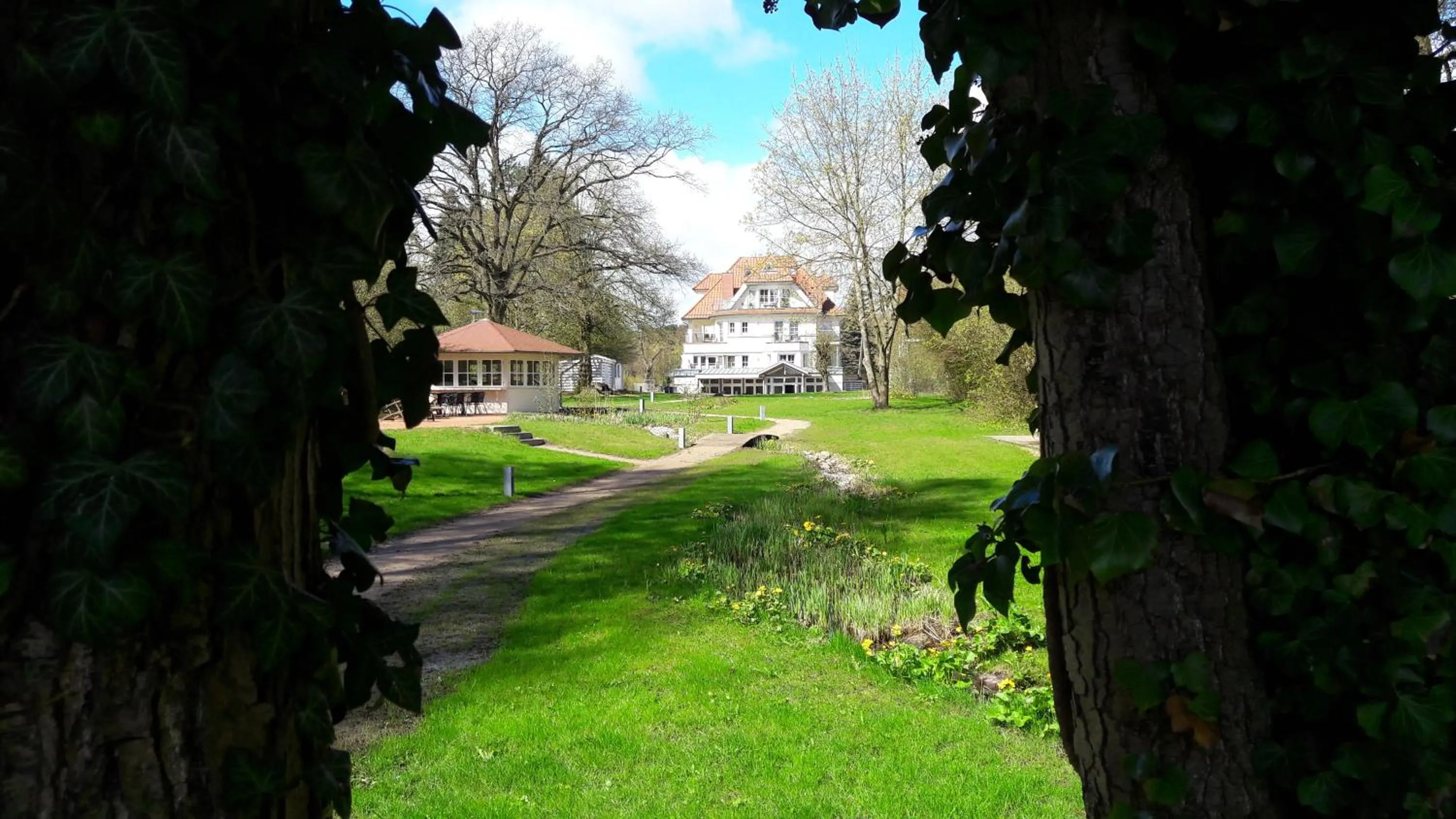 Garden in Hotel Villa Passion