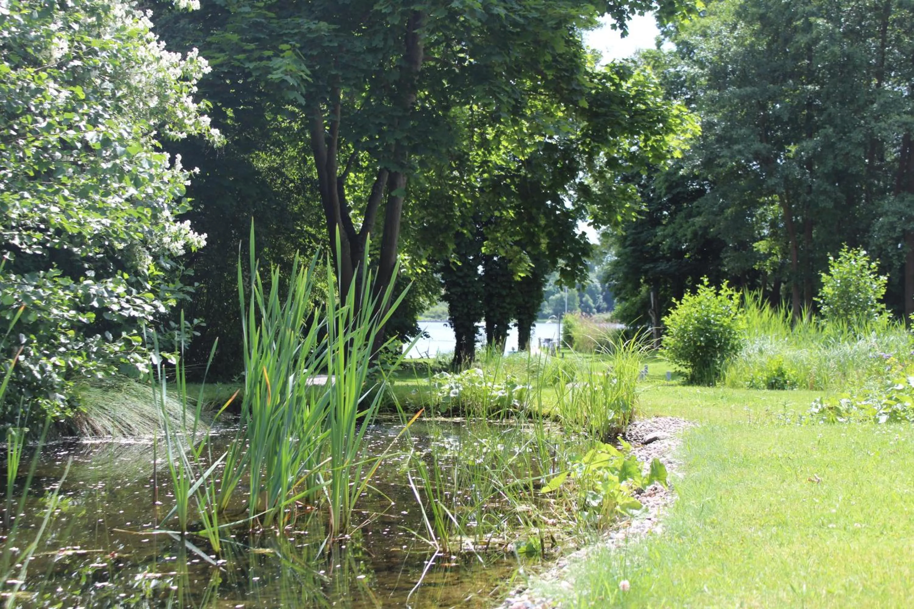Garden in Hotel Villa Passion