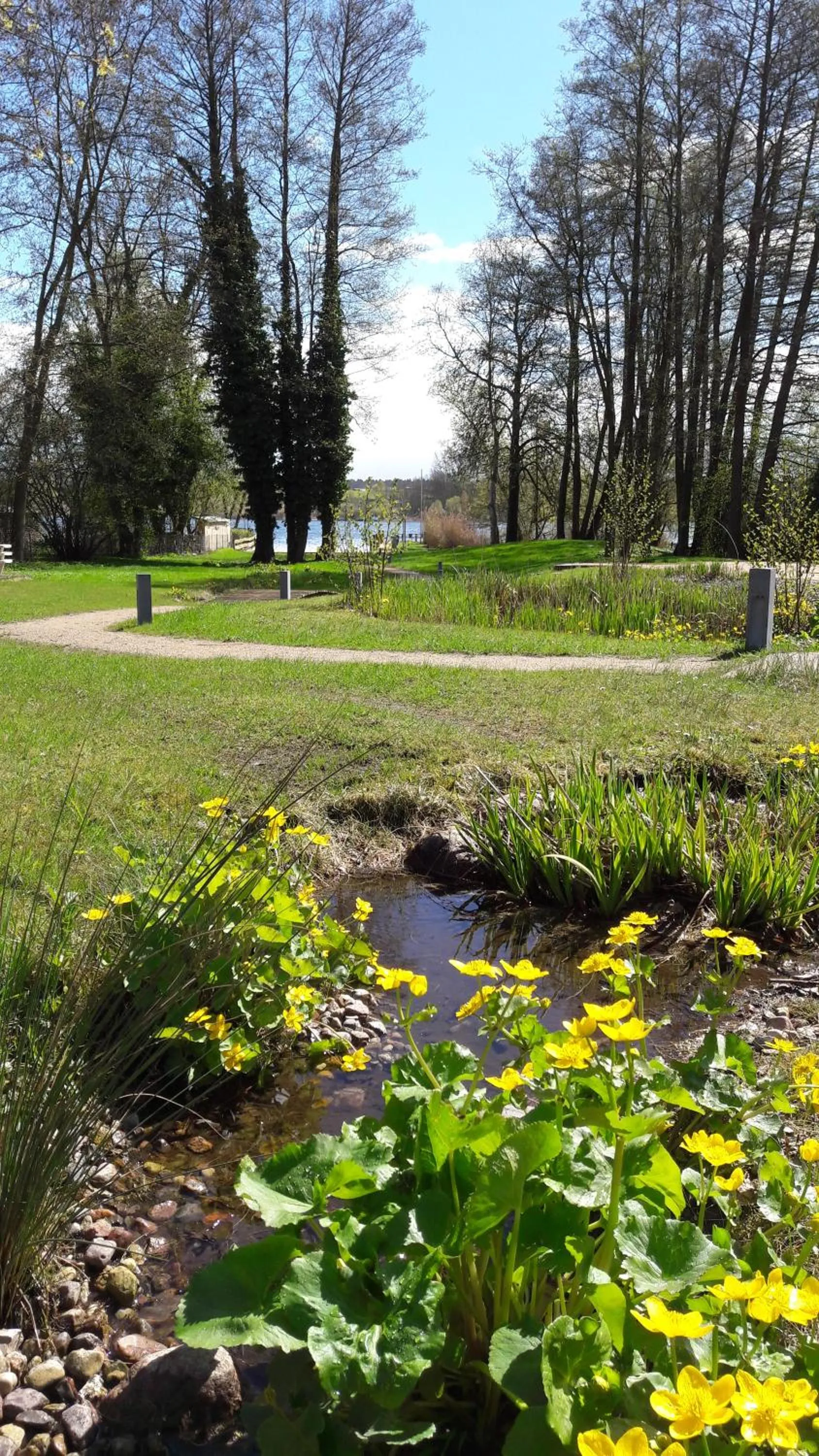 Garden in Hotel Villa Passion