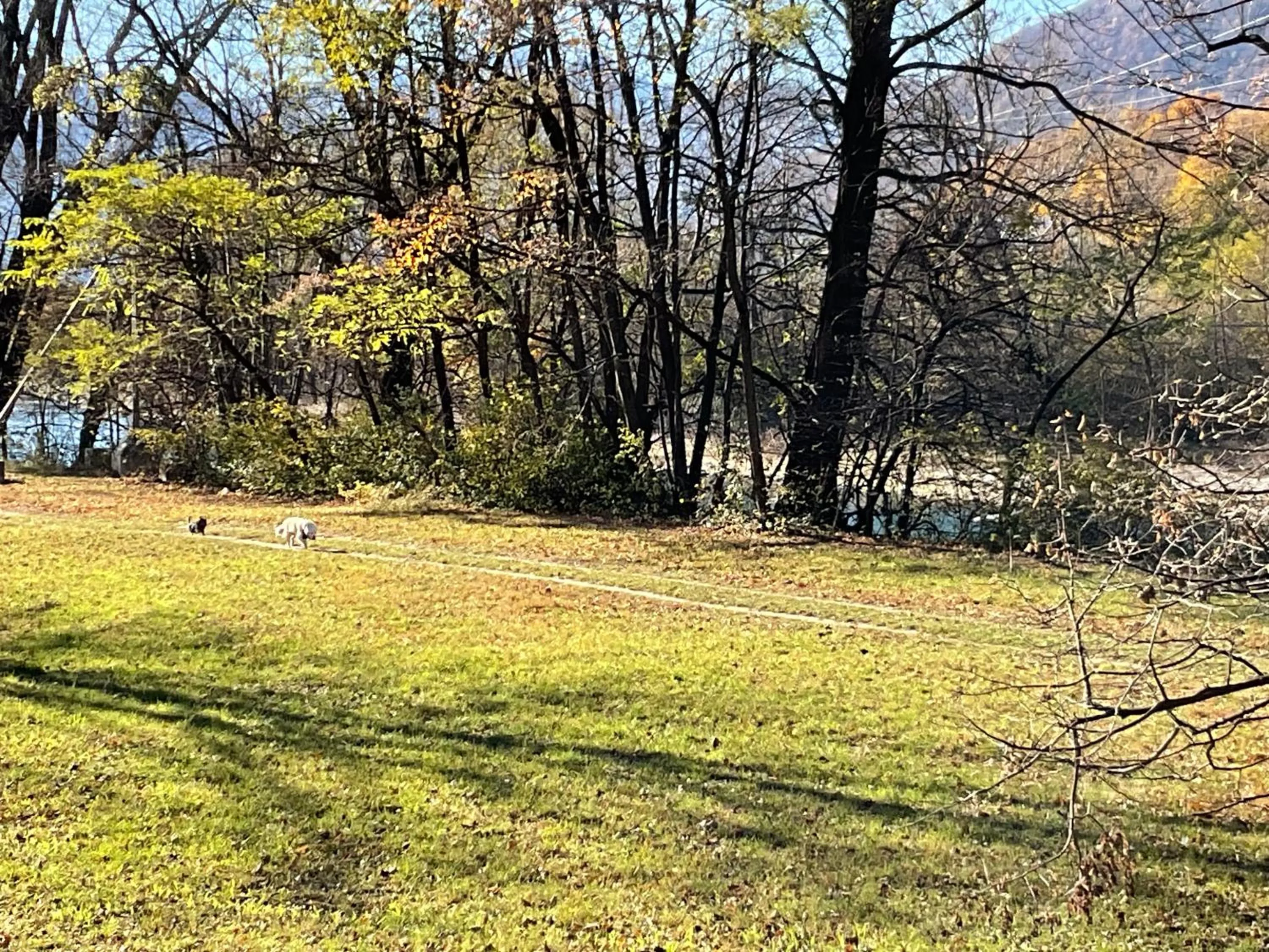 Day in Hotel Liberty Self Check-In