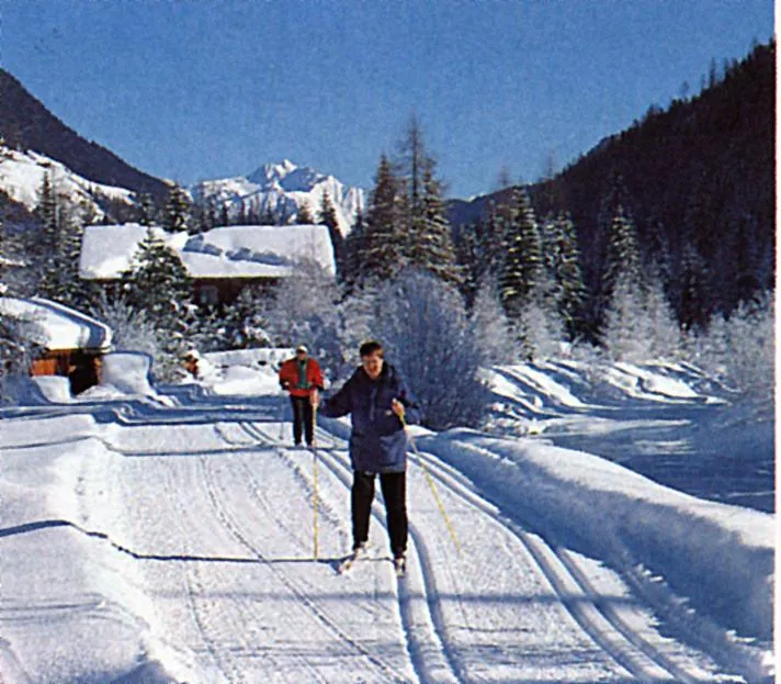 Natural landscape in Hotel Bruggerwirt