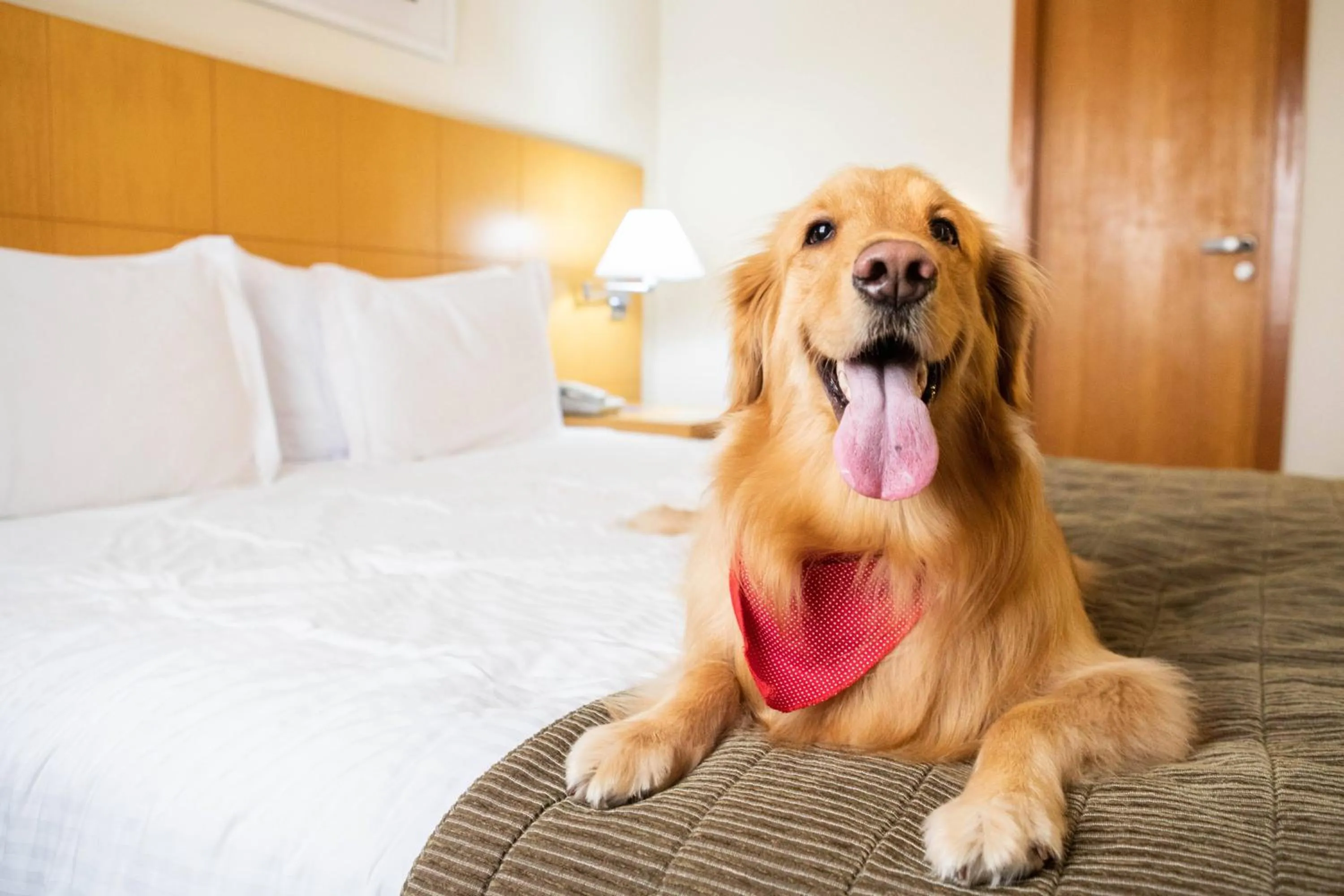 Bed in INNSiDE São Paulo Itaim