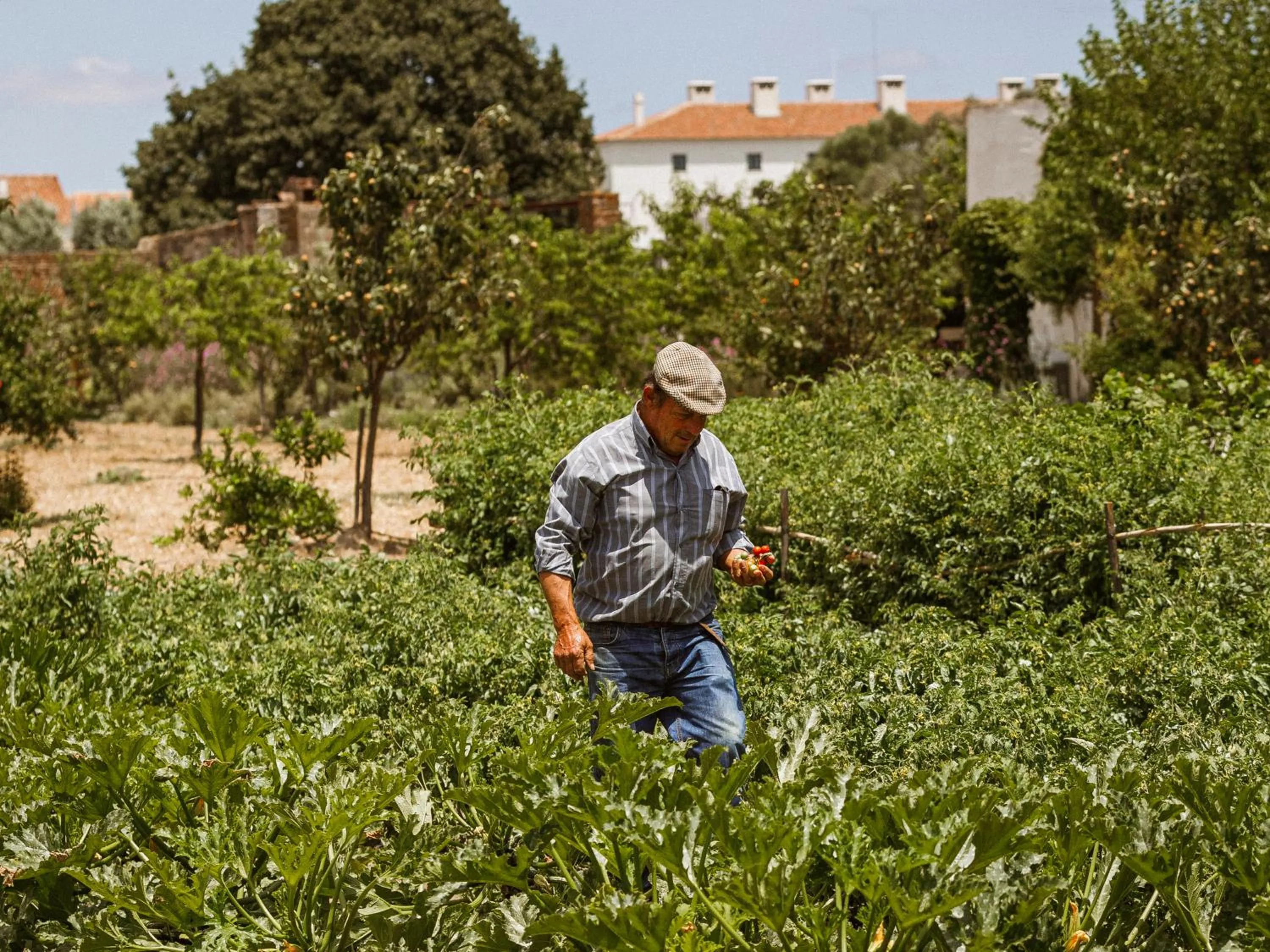 Activities in São Lourenço do Barrocal