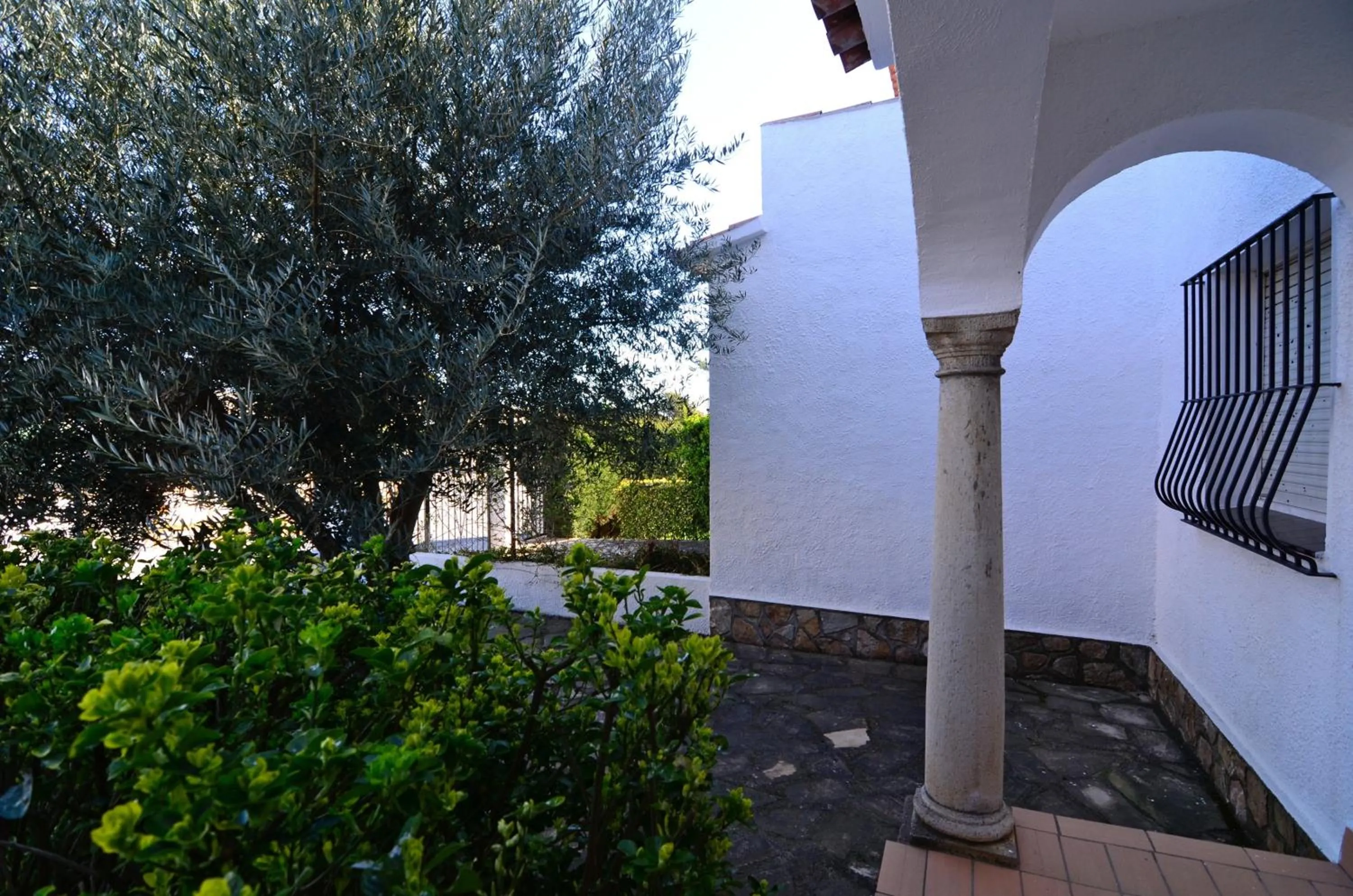 Garden in Casa la Flor