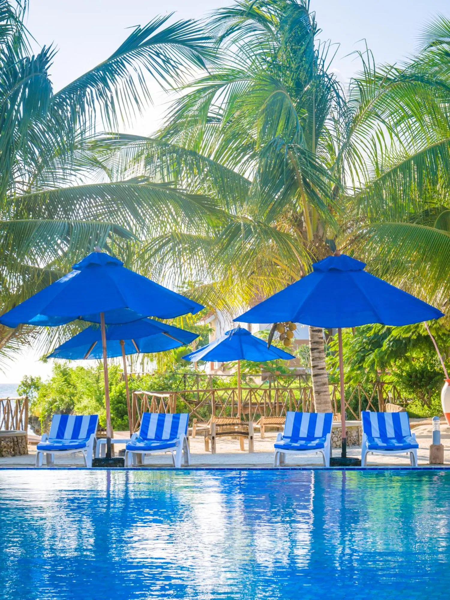 Swimming pool in Azao Resort & Spa