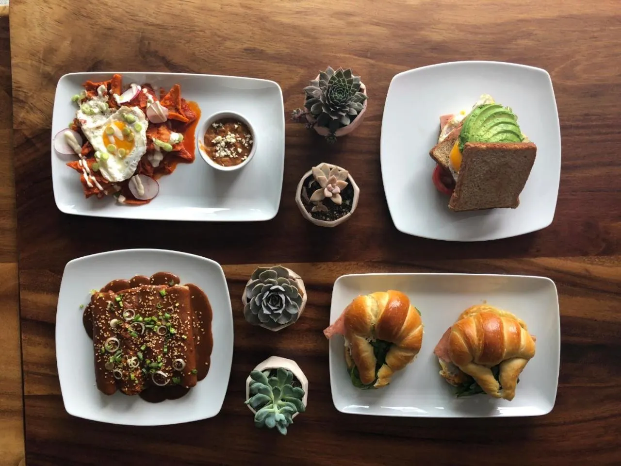 Food and drinks in FCH Hotel Expo Adults only