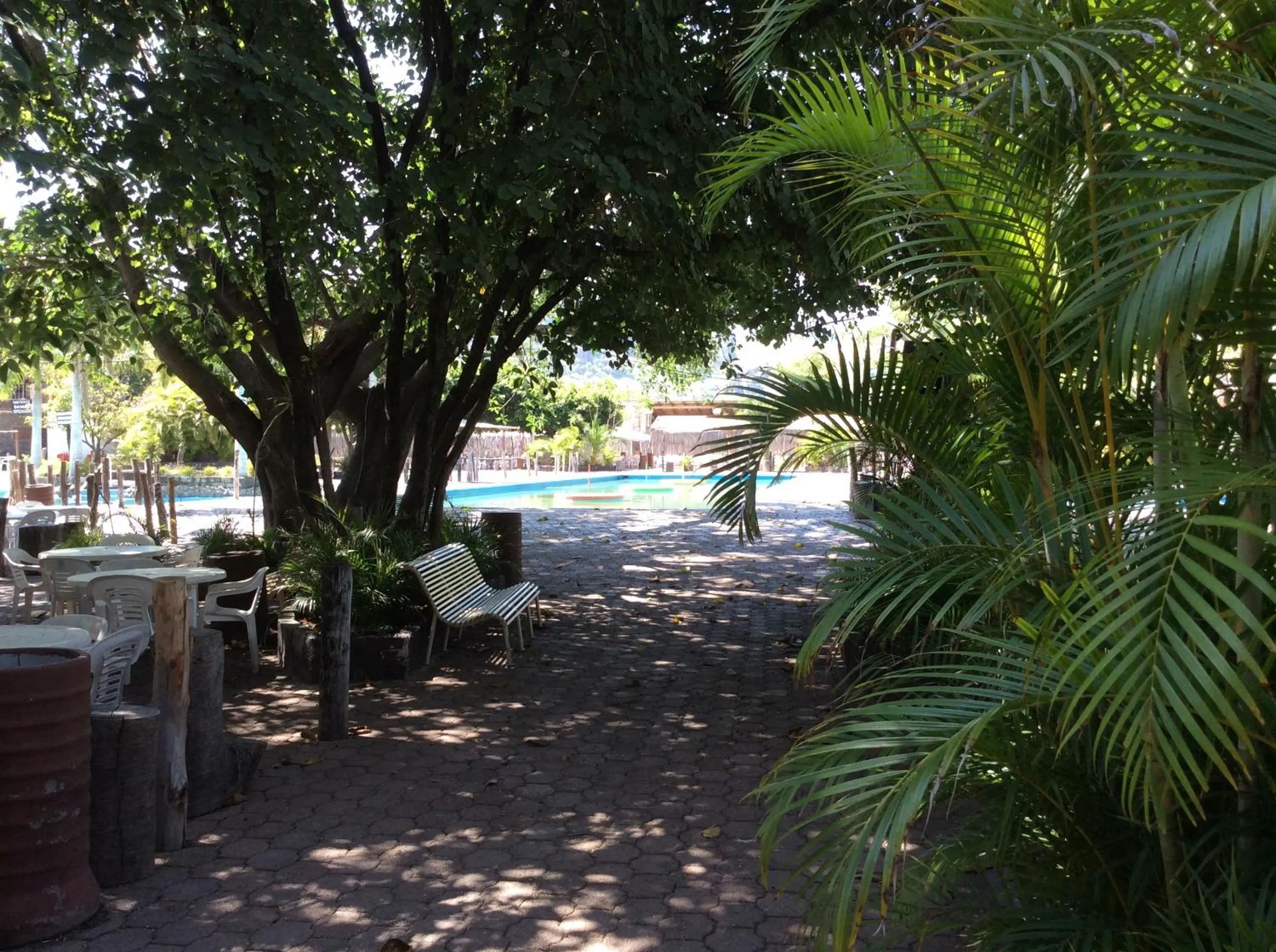 Restaurant/places to eat in Hotel Y Parque Acuático La Caldera