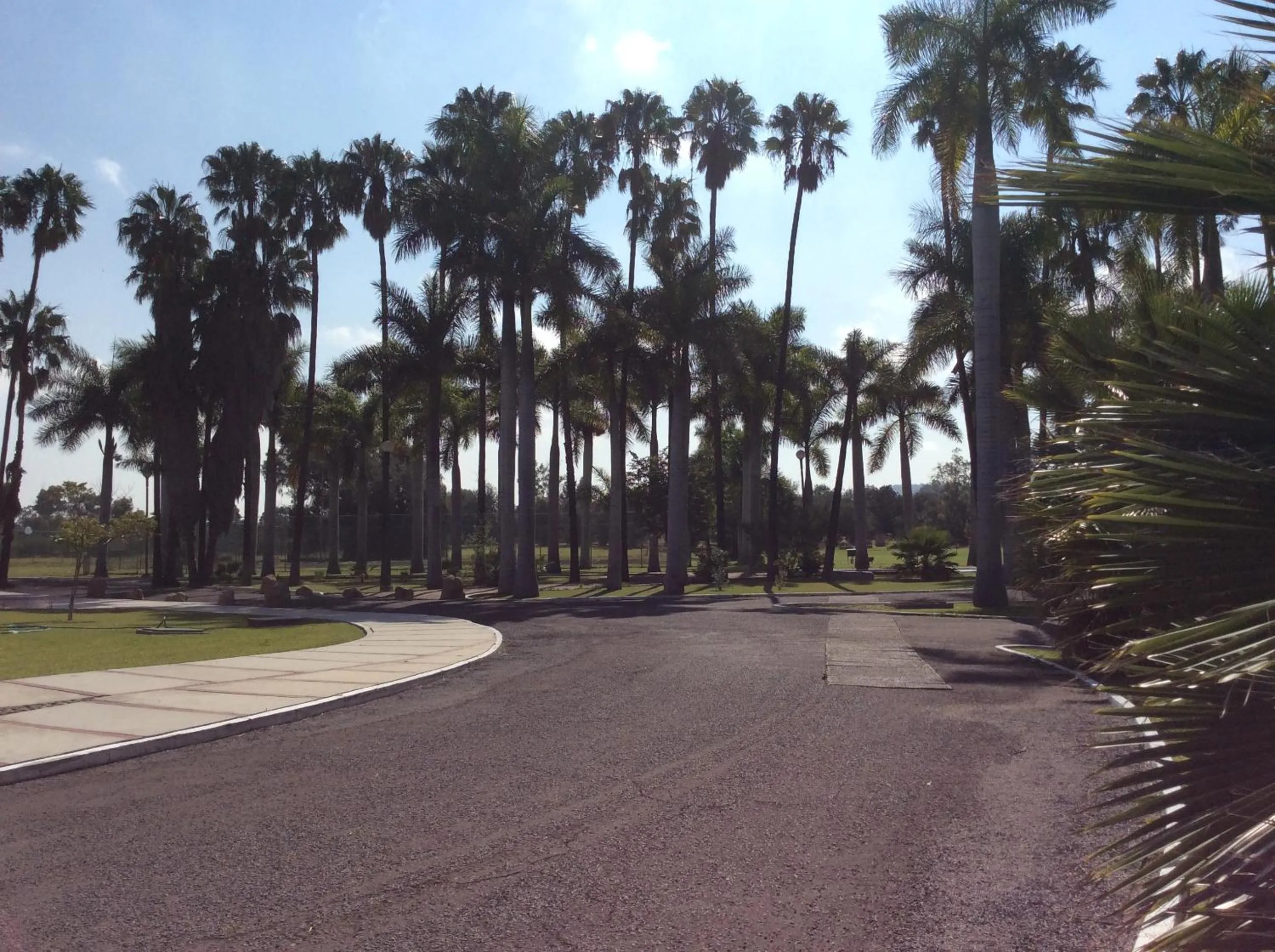 Garden in Hotel Y Parque Acuático La Caldera