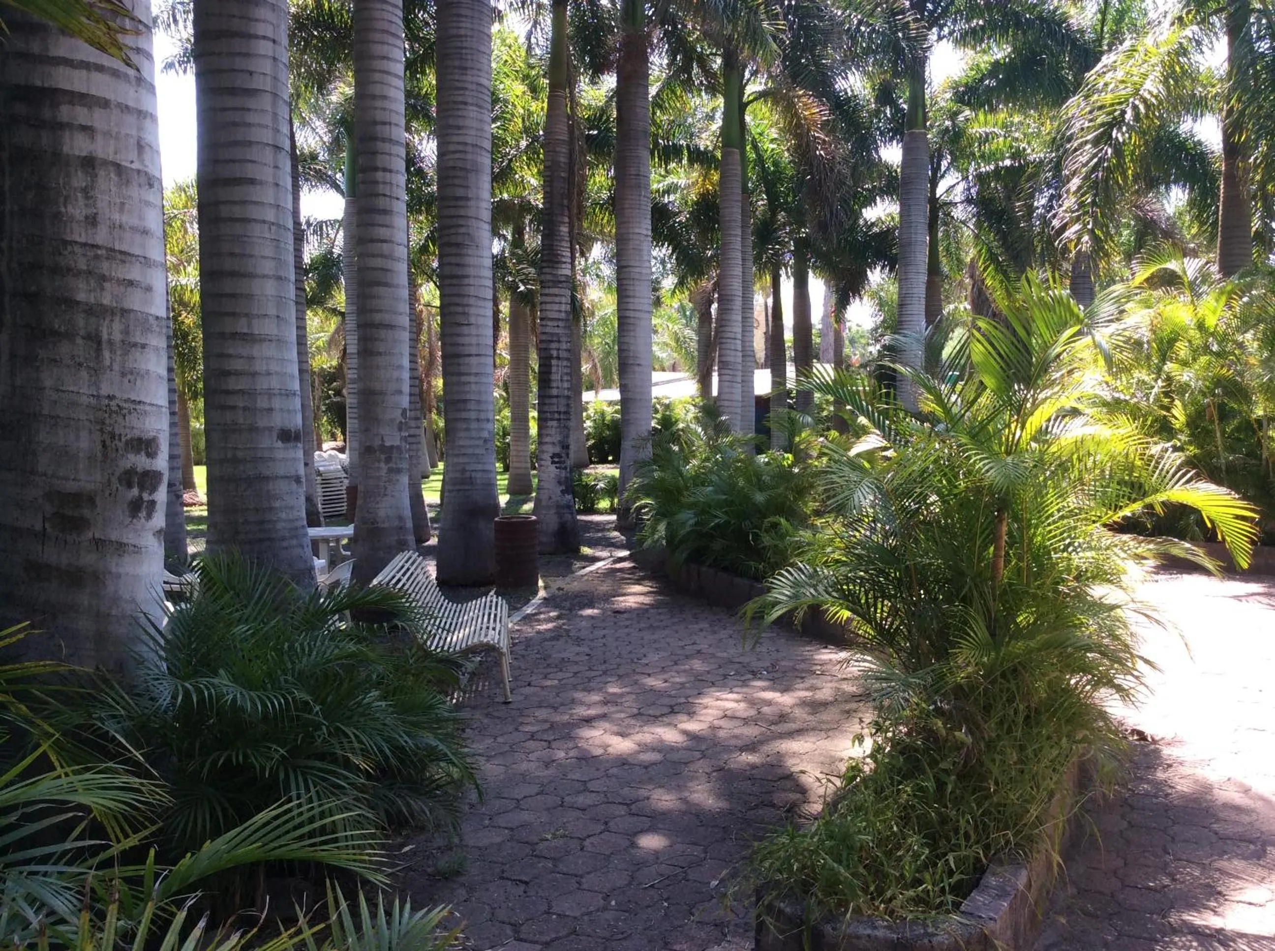 Patio in Hotel Y Parque Acuático La Caldera