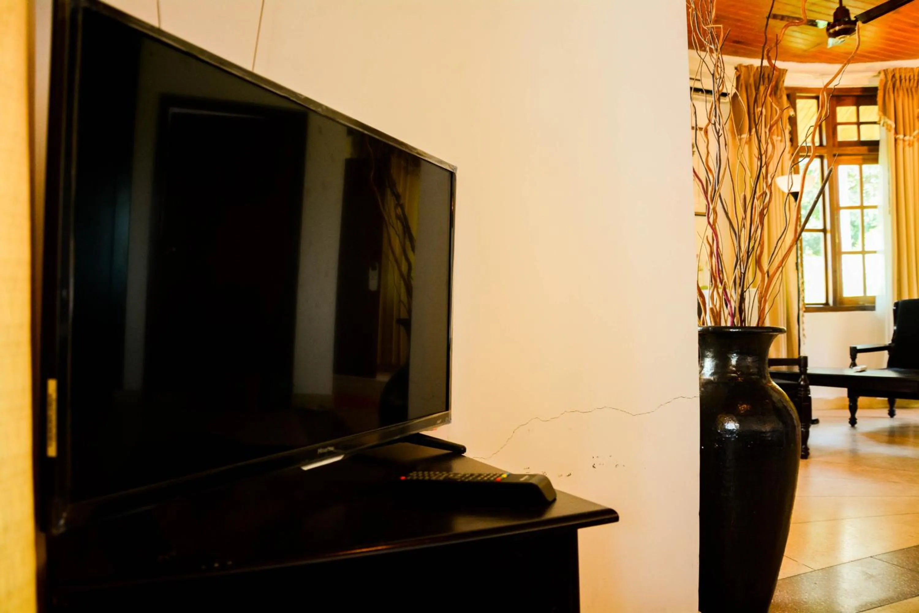 TV and multimedia in Hotel Spring View