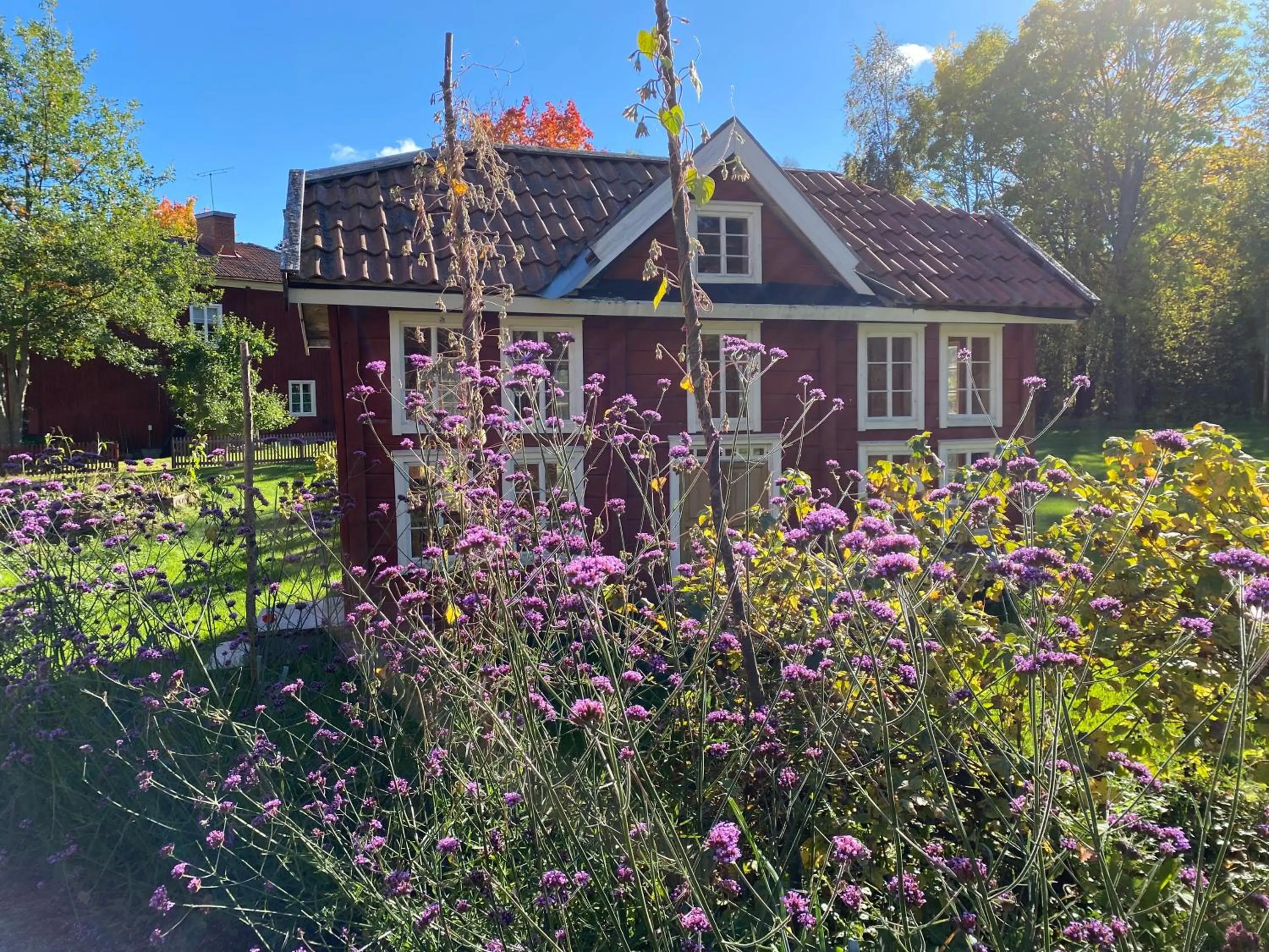 Garden in Hälsingegården Erik-Anders