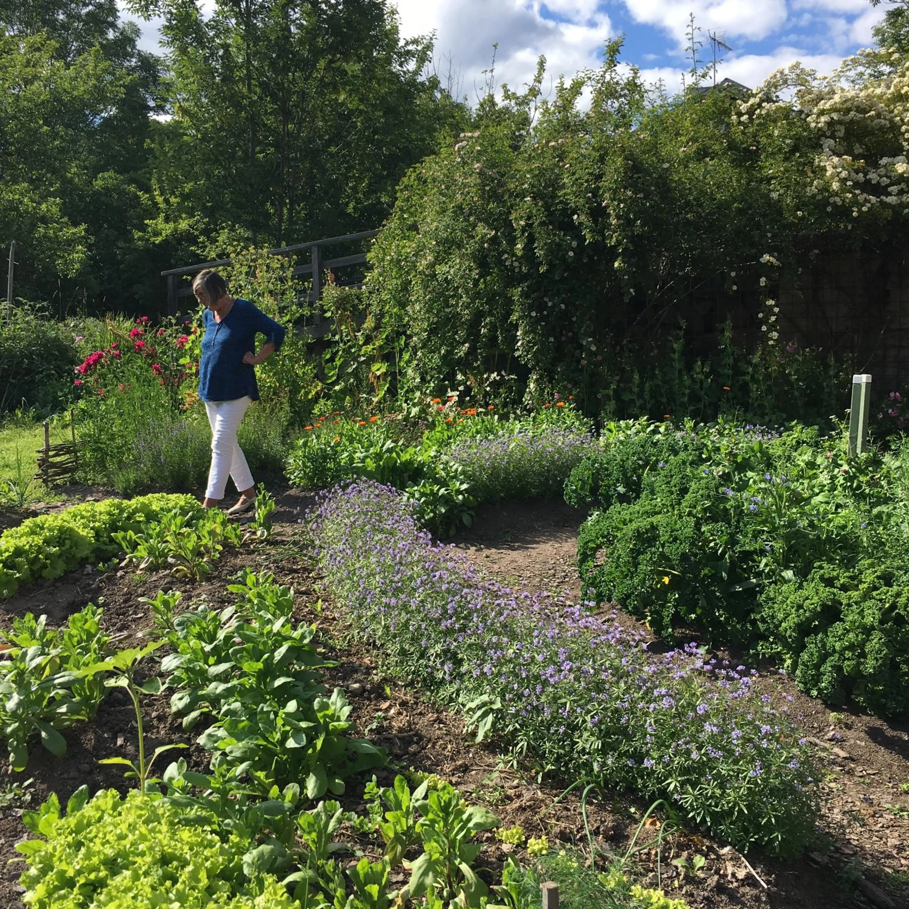 Garden in Hälsingegården Erik-Anders