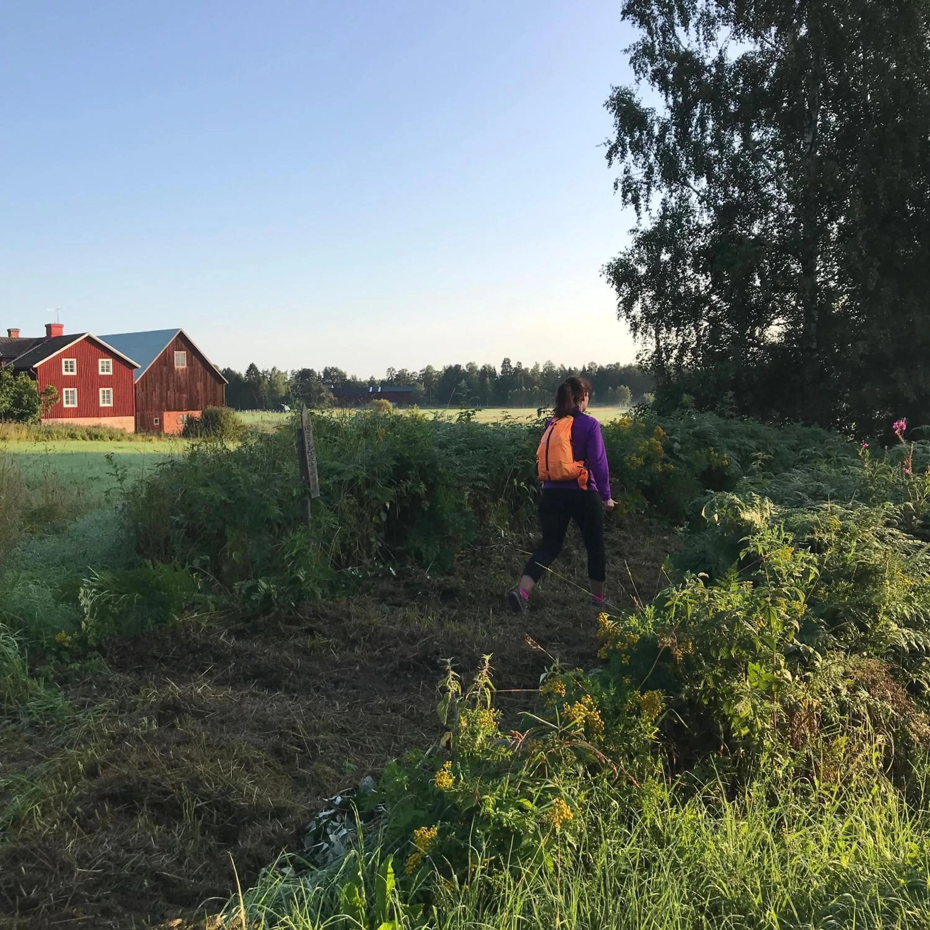 Natural landscape in Hälsingegården Erik-Anders