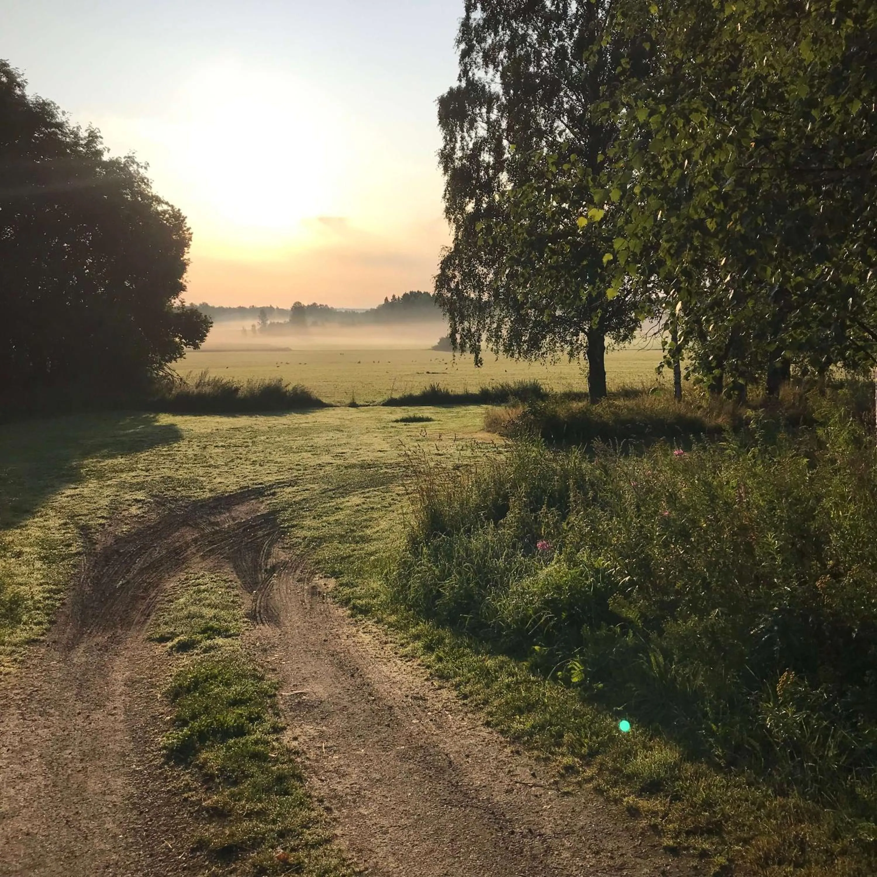 Natural landscape in Hälsingegården Erik-Anders