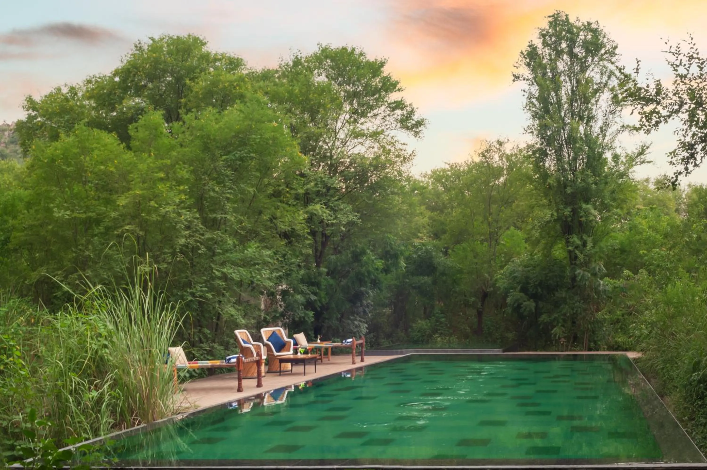 Swimming pool in Trees N Tigers Luxury Wildlife Lodge