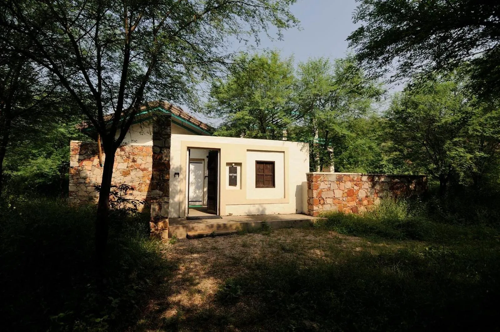 Trees N Tigers Luxury Wildlife Lodge