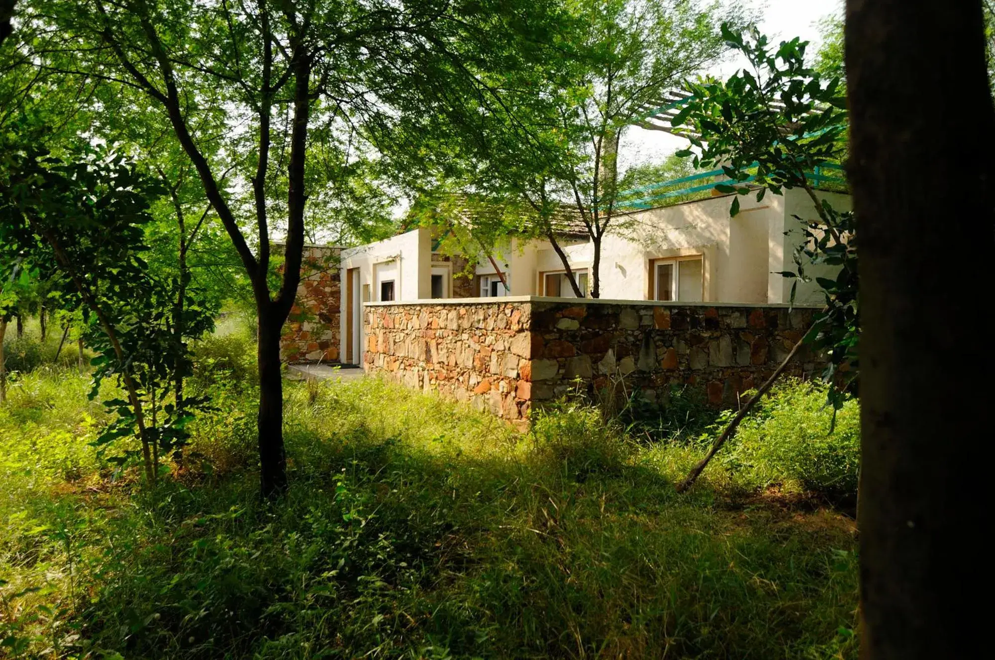 Luxury Cottage in Trees N Tigers Luxury Wildlife Lodge Luxury Cottage in Trees N Tigers Luxury Wildlife Lodge