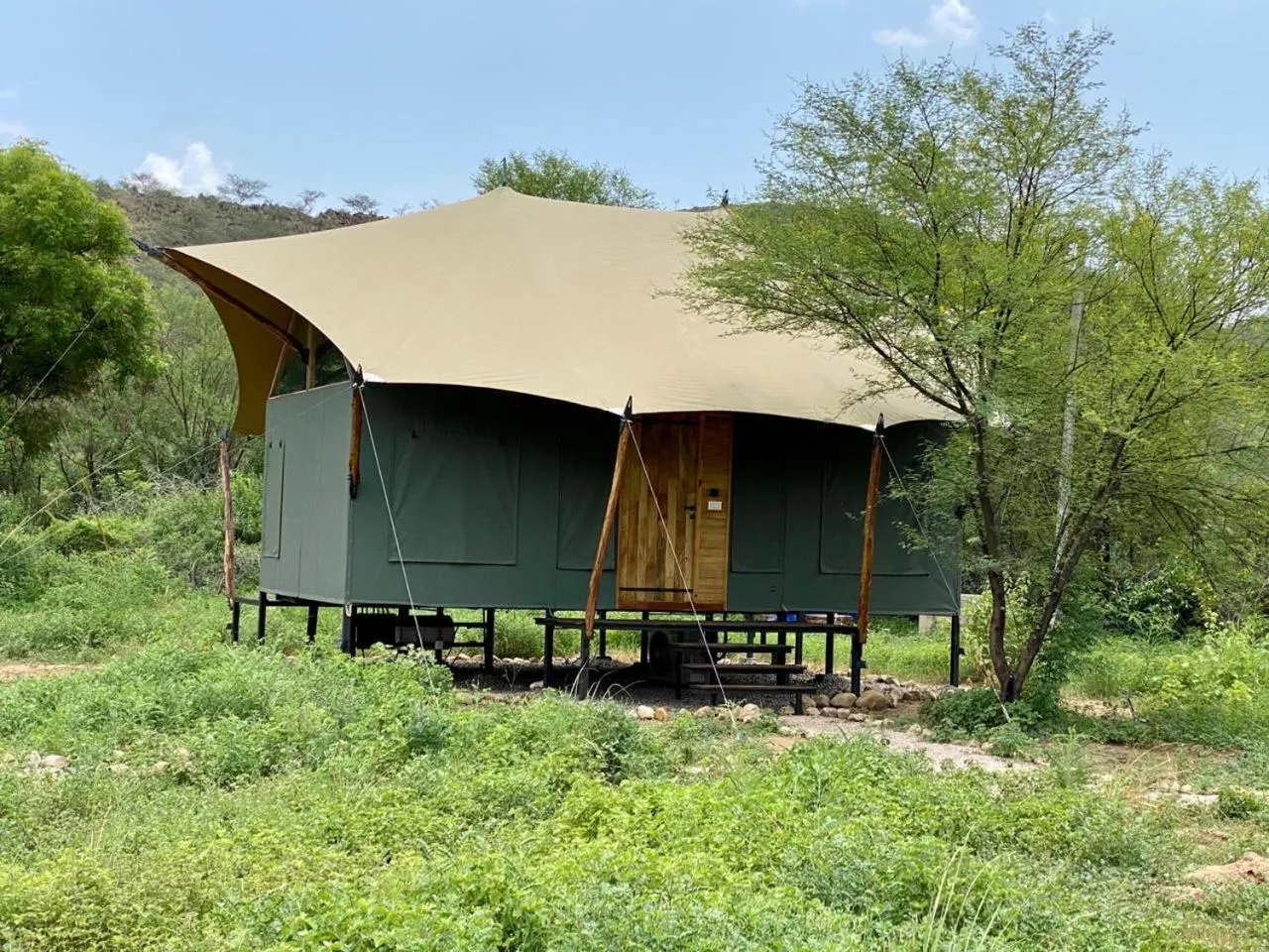 Trees N Tigers Luxury Wildlife Lodge