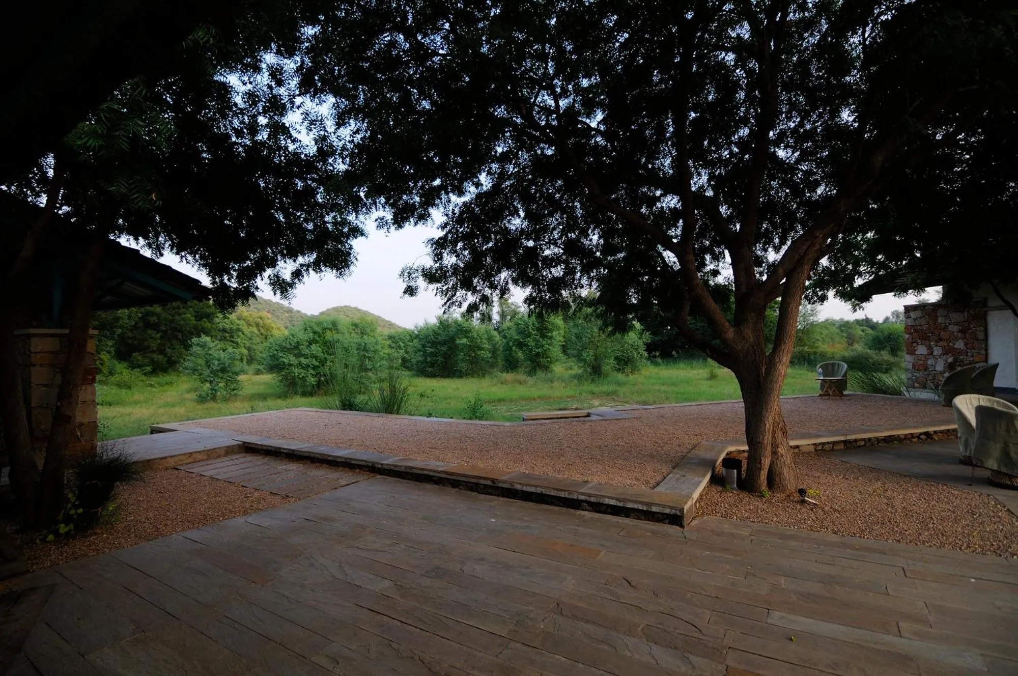 Trees N Tigers Luxury Wildlife Lodge