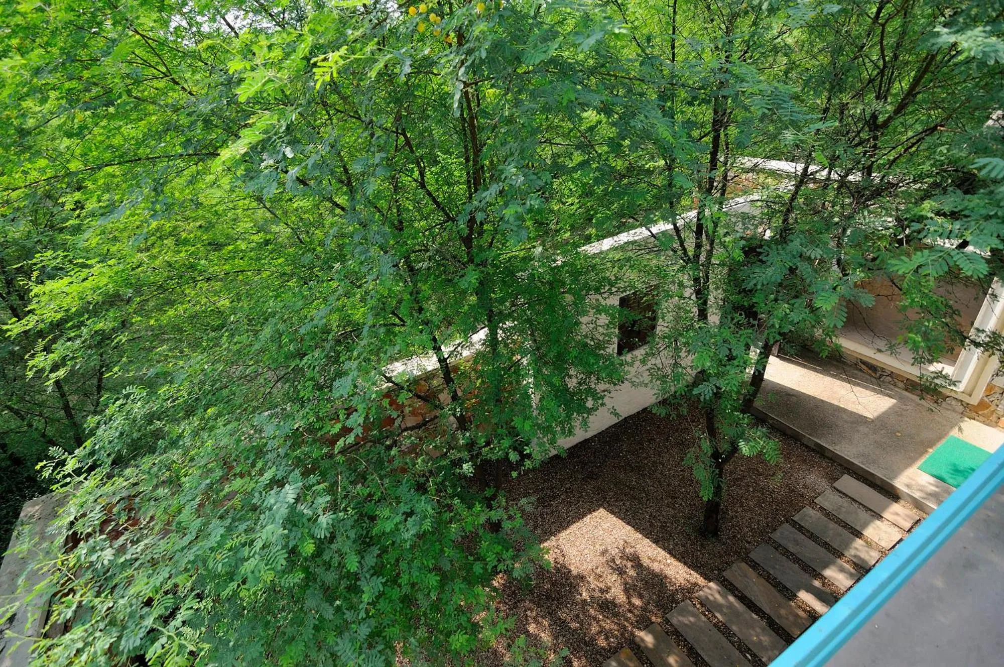 Trees N Tigers Luxury Wildlife Lodge