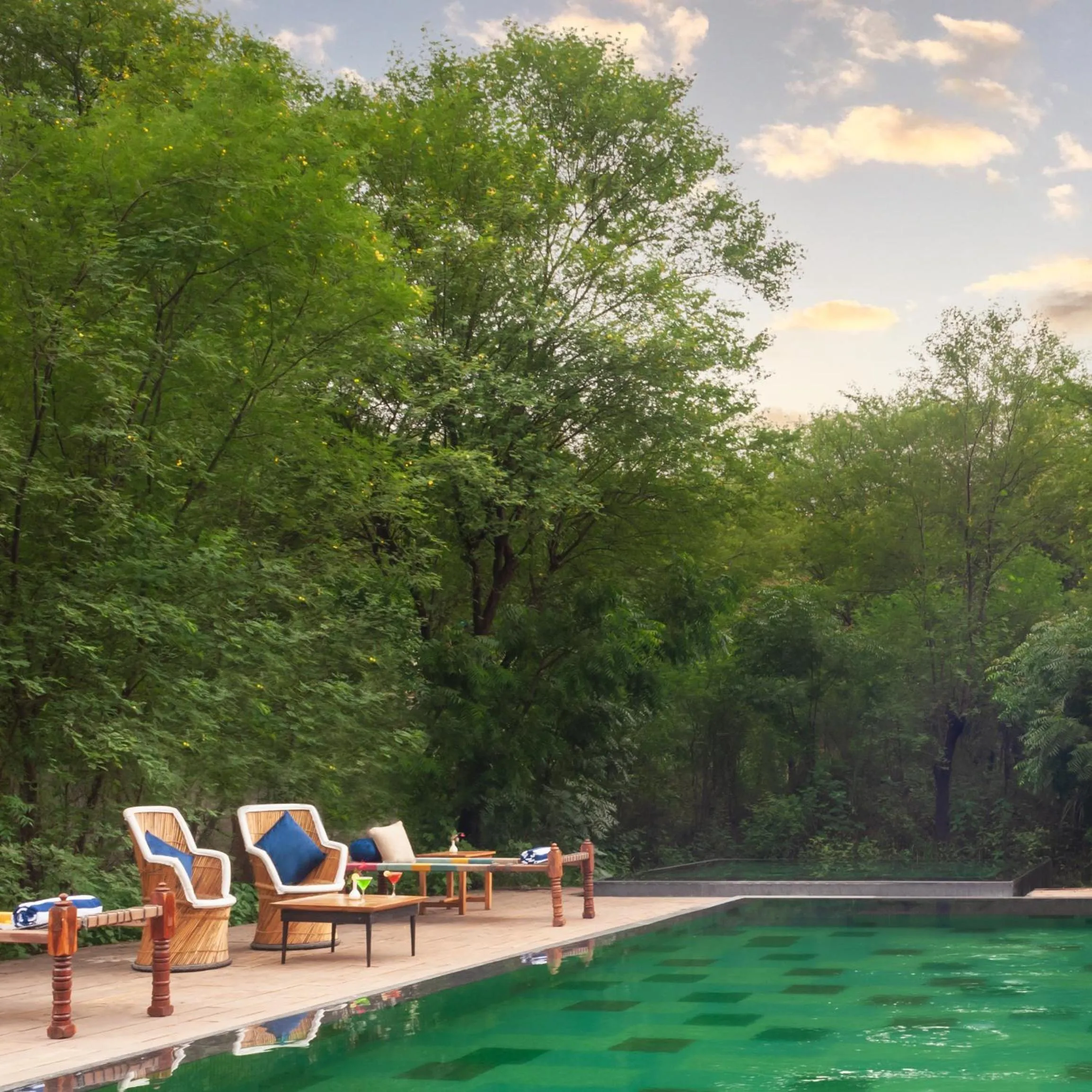 Swimming pool in Trees N Tigers Luxury Wildlife Lodge