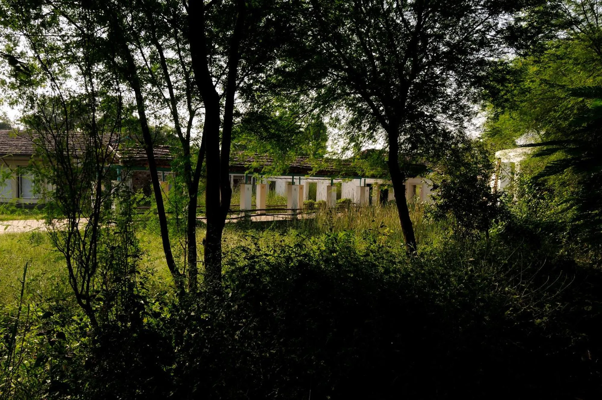 Trees N Tigers Luxury Wildlife Lodge