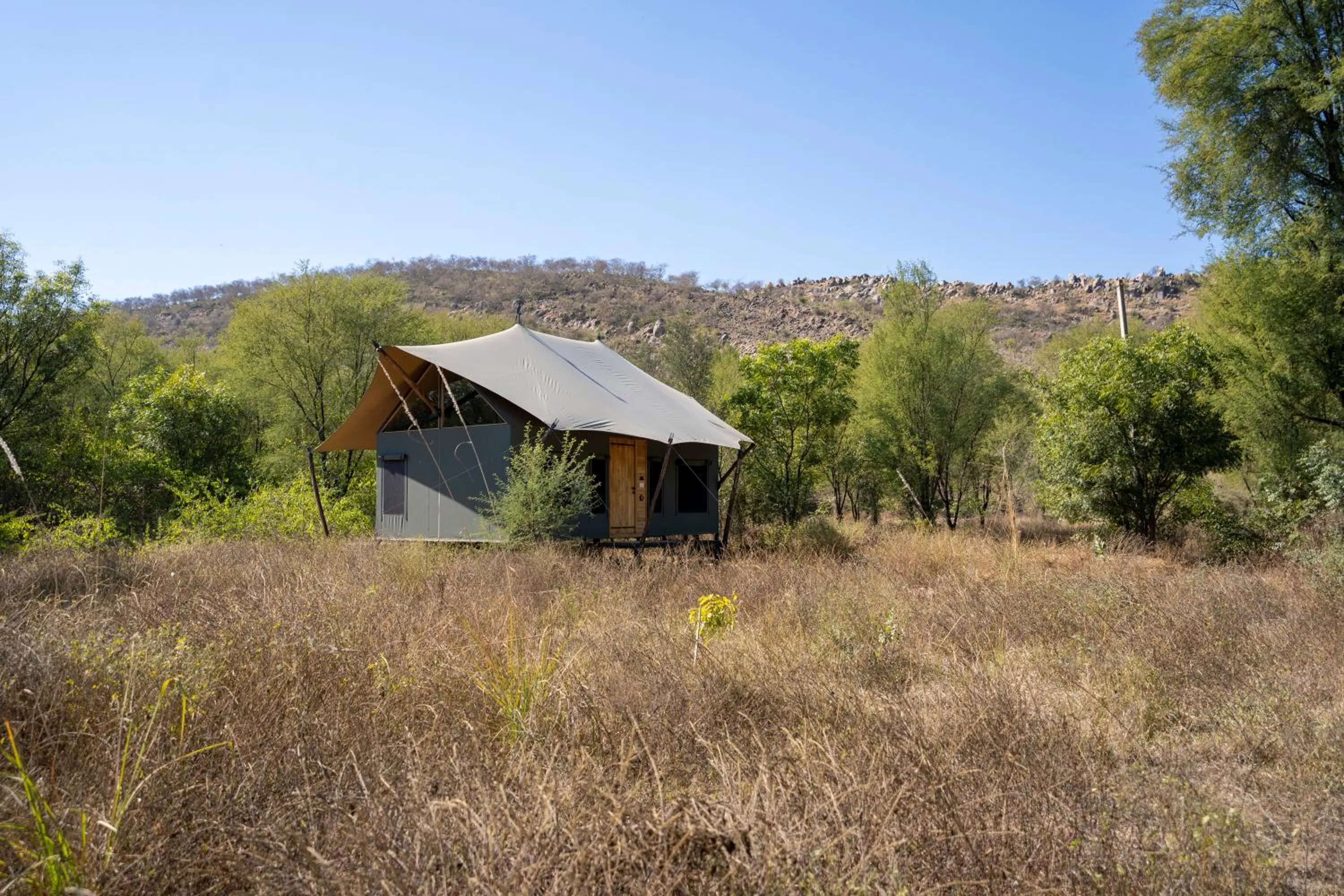 Trees N Tigers Luxury Wildlife Lodge