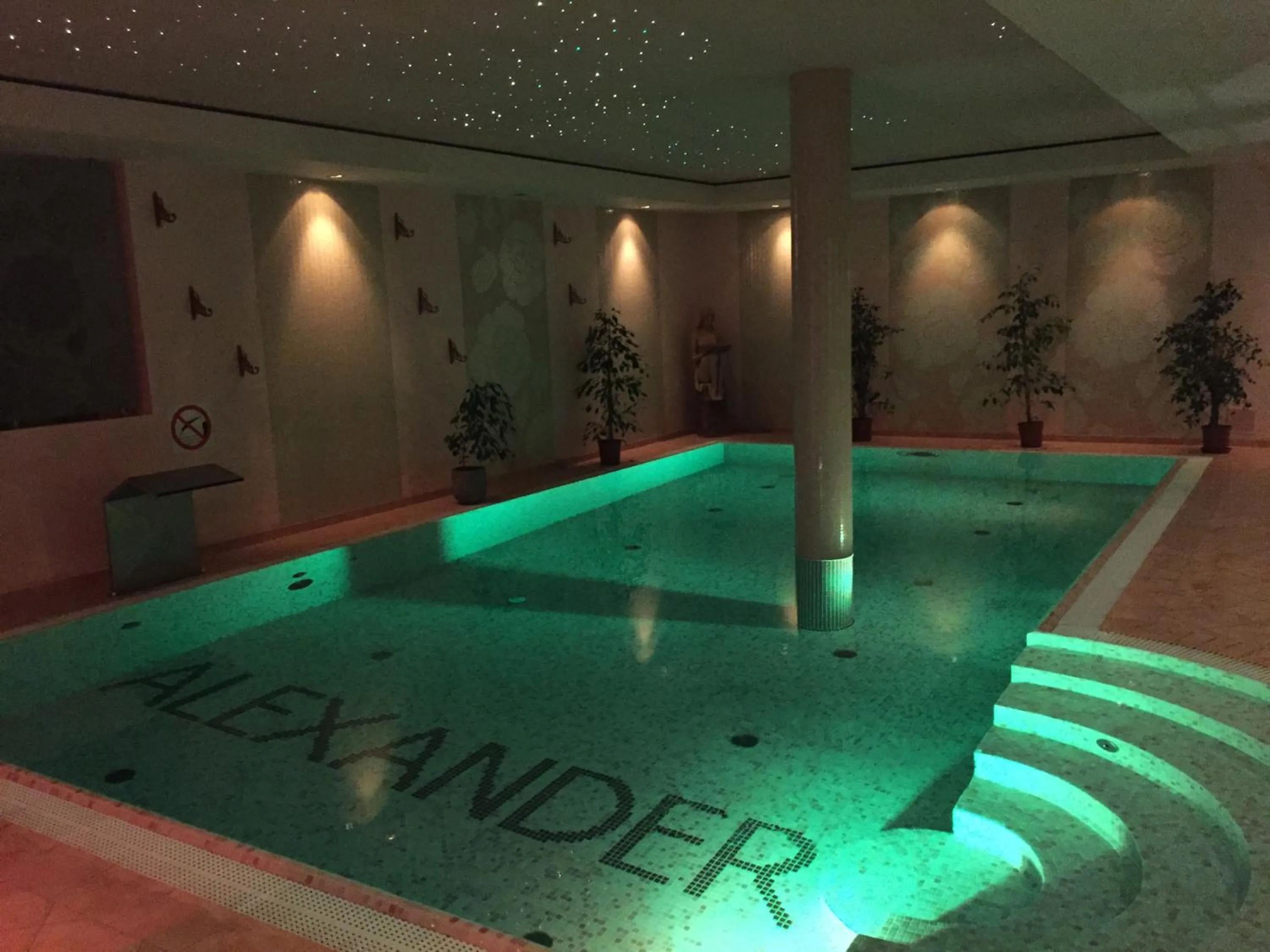 Swimming pool in Willa Alexander Resort & SPA - caloroczny kryty BASEN