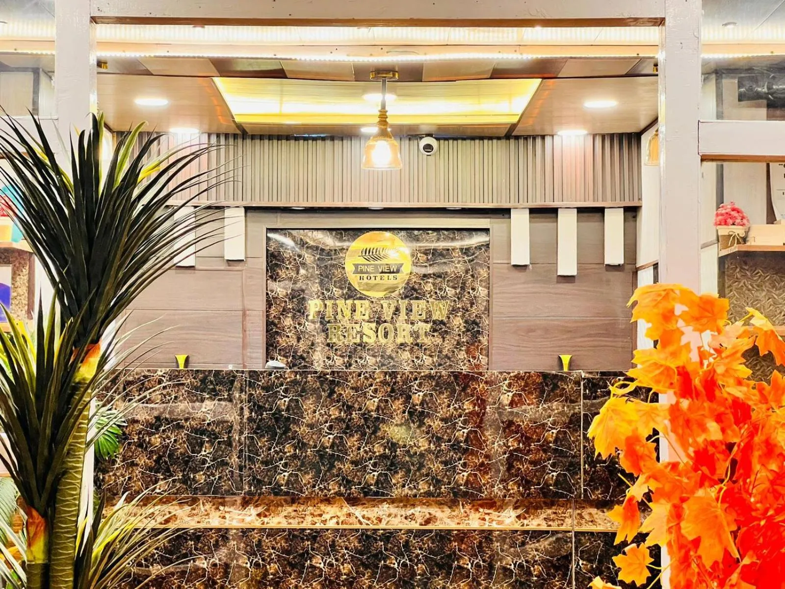 Lobby or reception in Pine View Resort