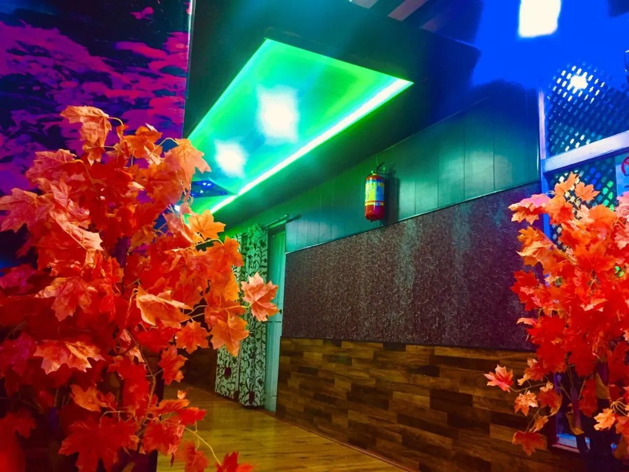 Entertainment in Pine View Resort