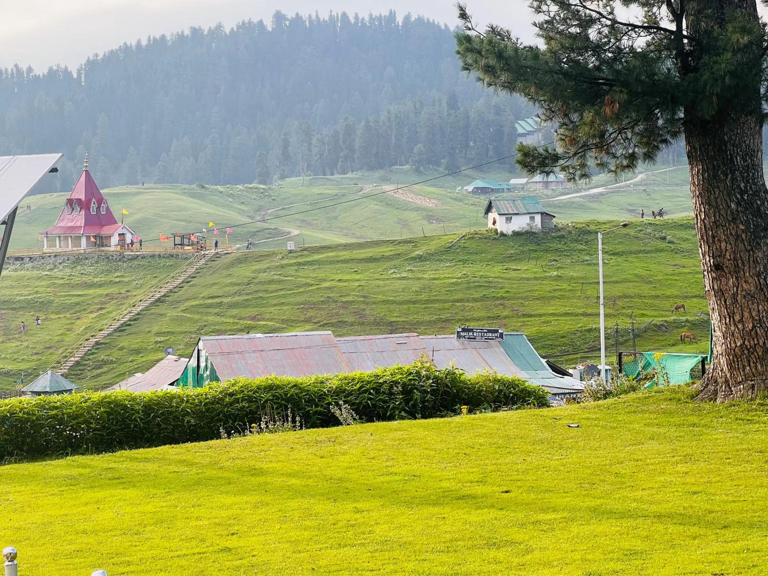 Garden view in Pine View Resort