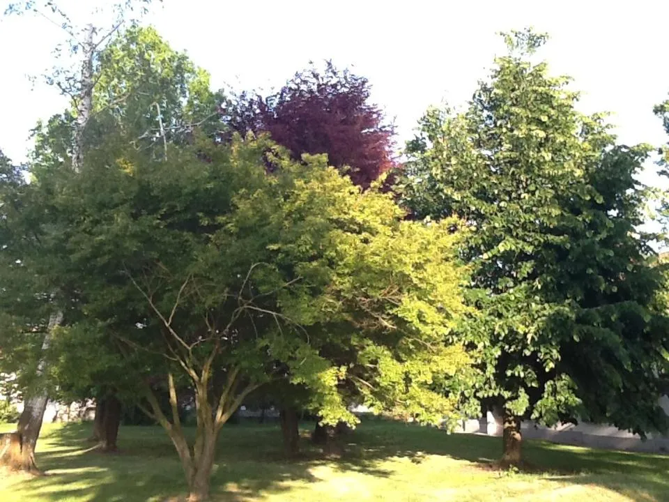 Property building in B&B Cascina Baraggione