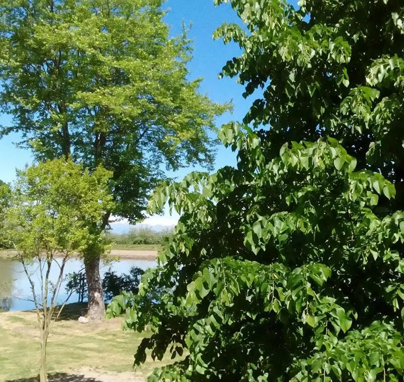 Garden in B&B Cascina Baraggione