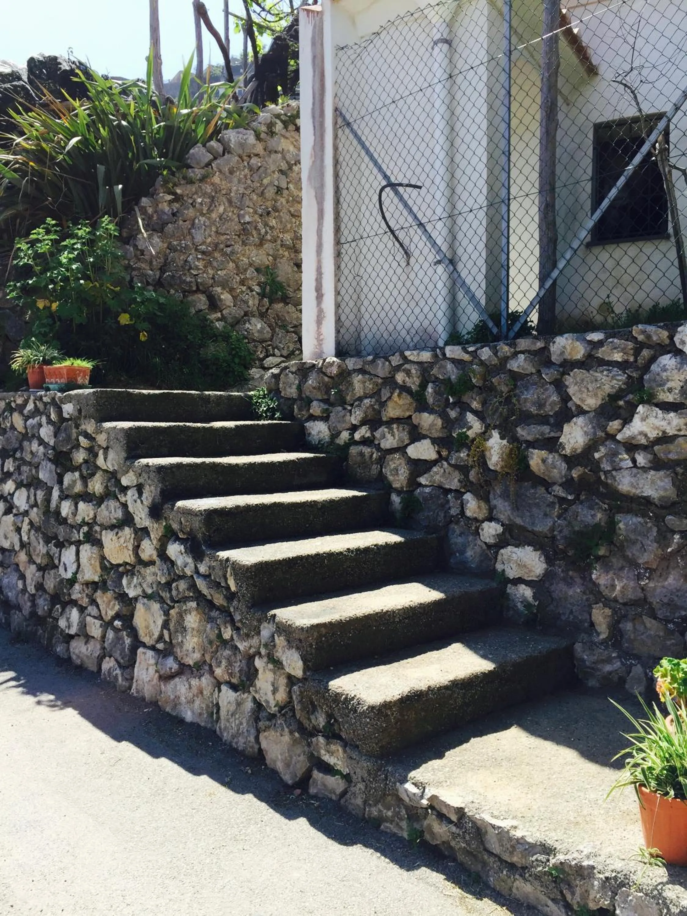 Spring in Casa Rossa