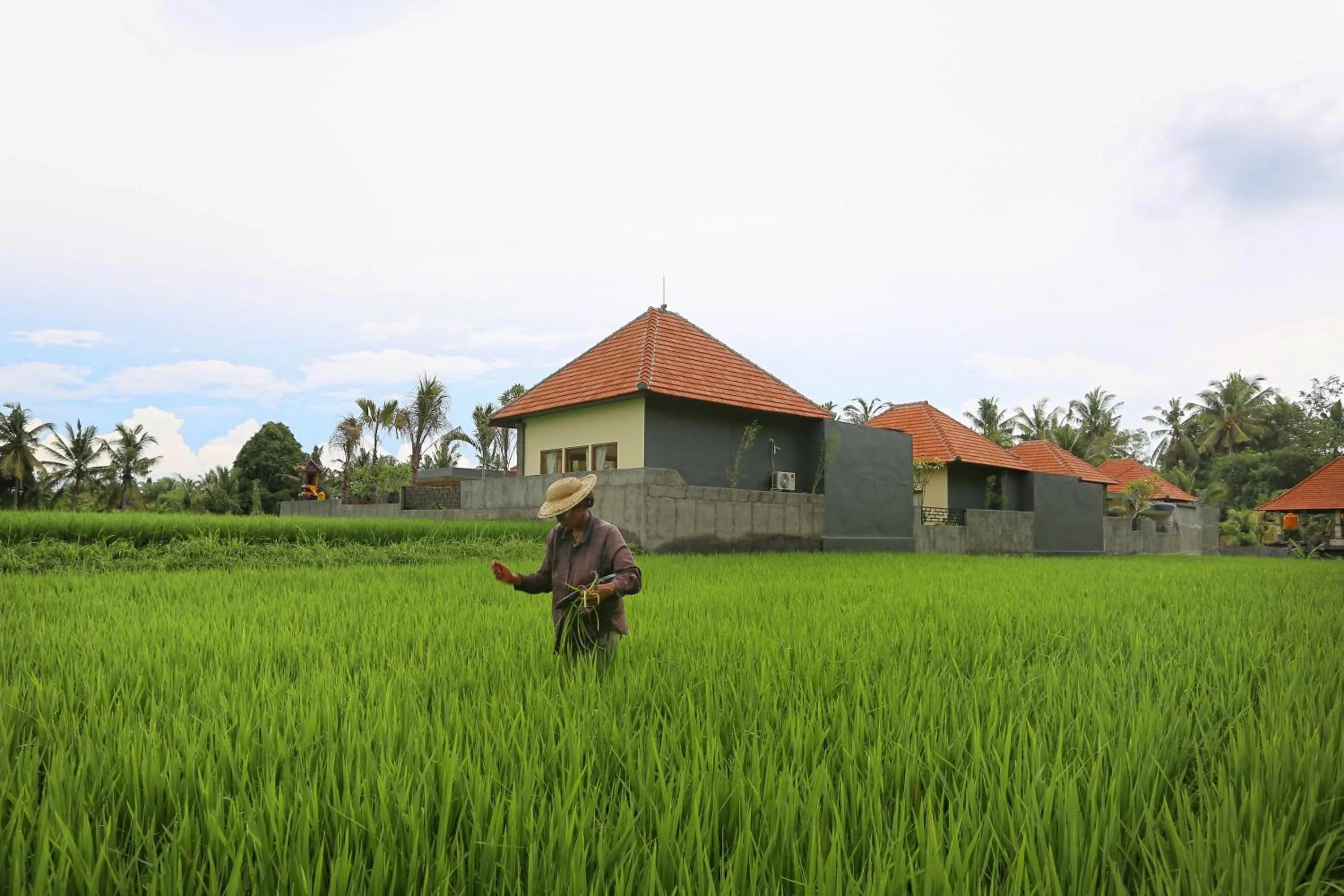 Property building in Asri Sari Ubud Resort