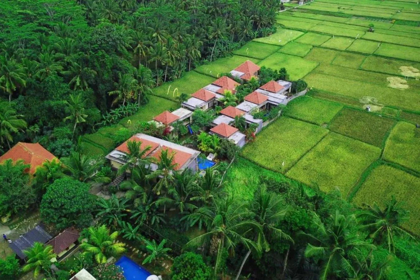 Landmark view in Asri Sari Ubud Resort