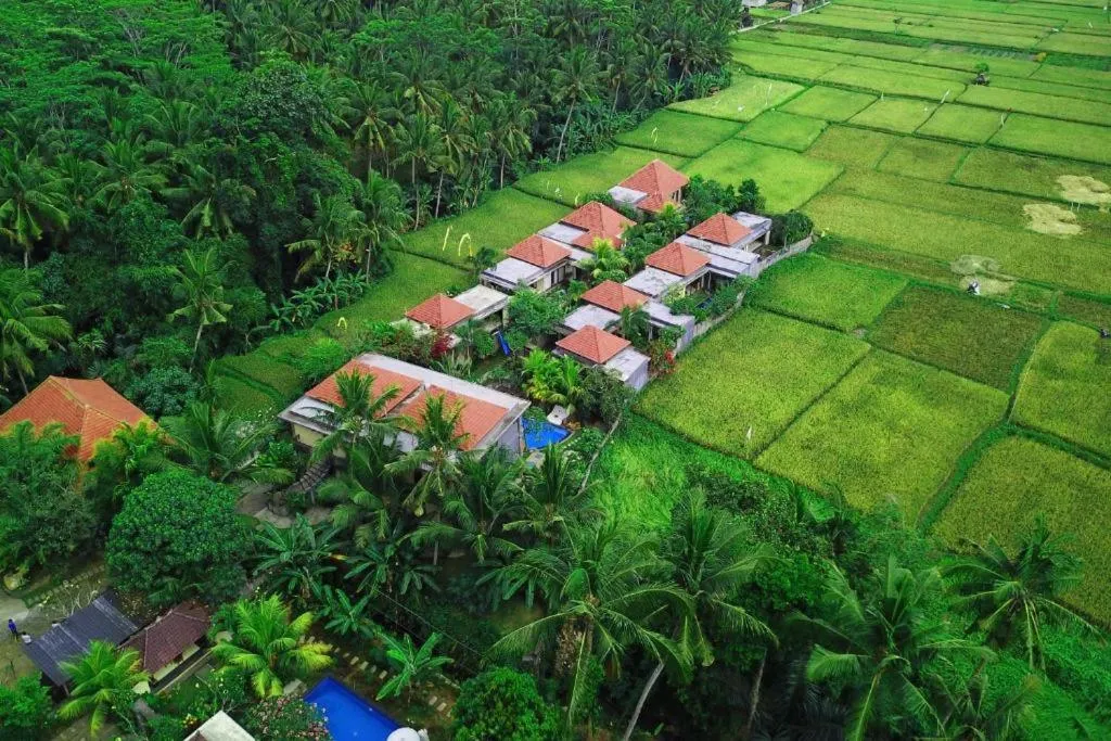 Property building in Asri Sari Ubud Resort