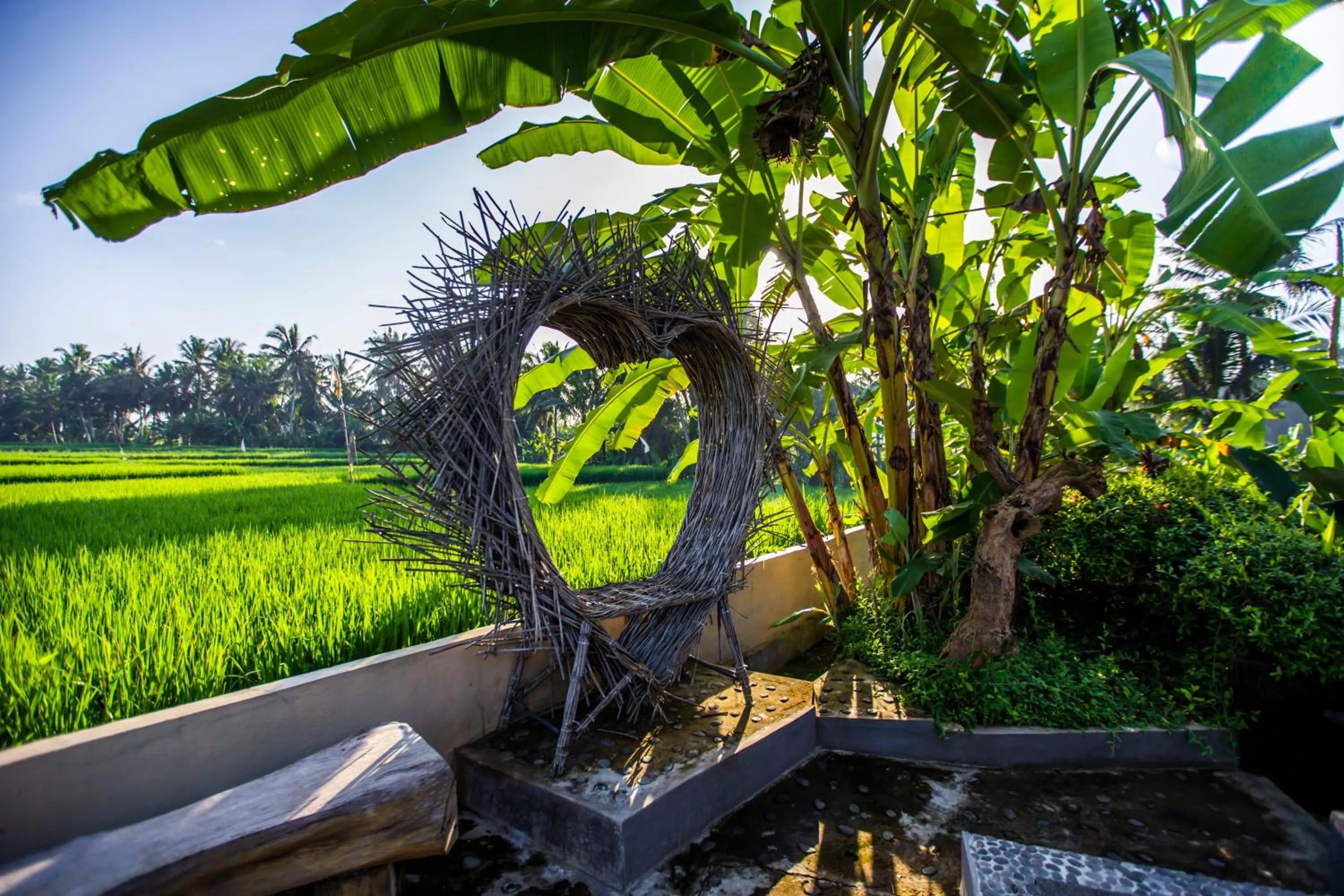 Garden in Asri Sari Ubud Resort