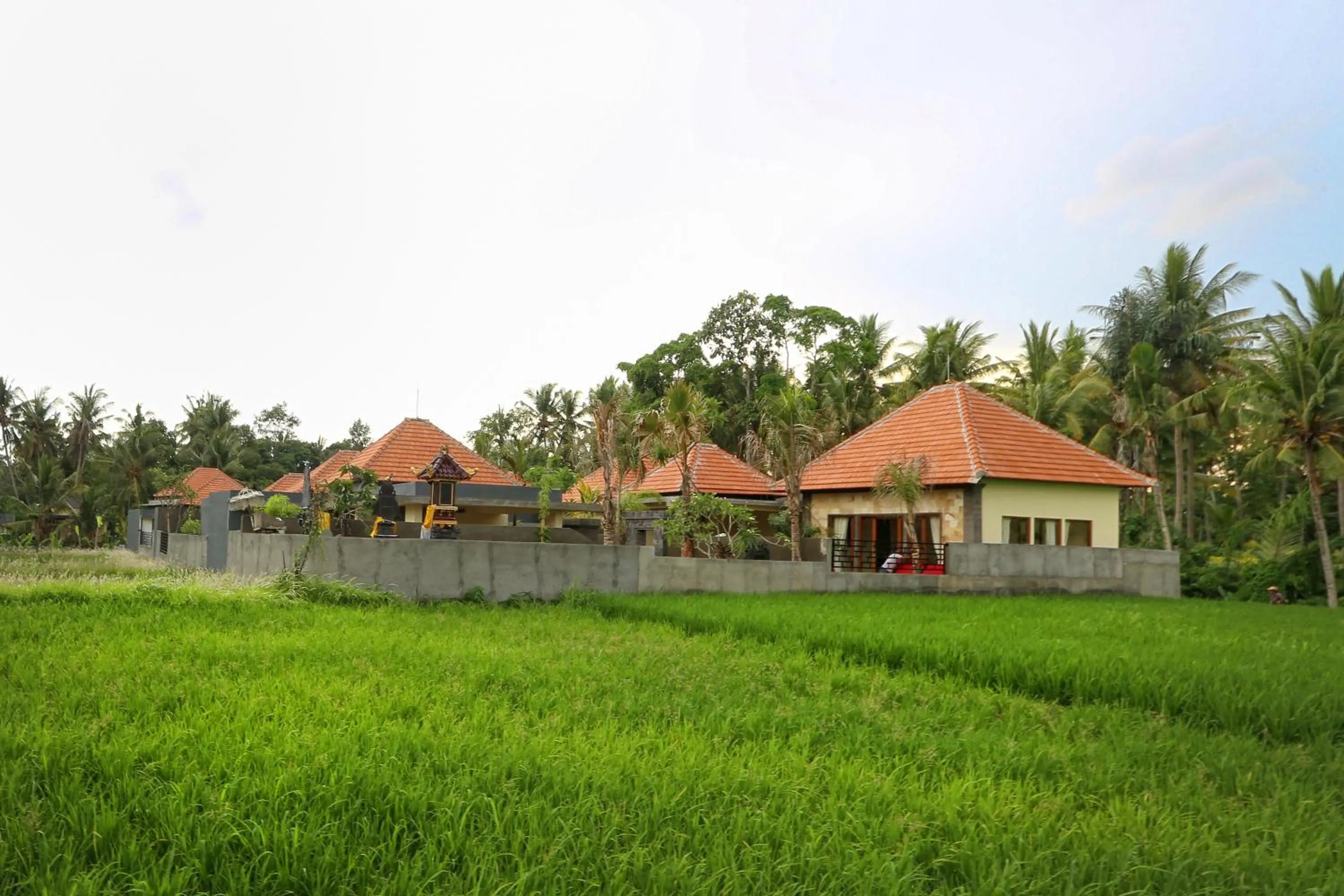 Property building in Asri Sari Ubud Resort