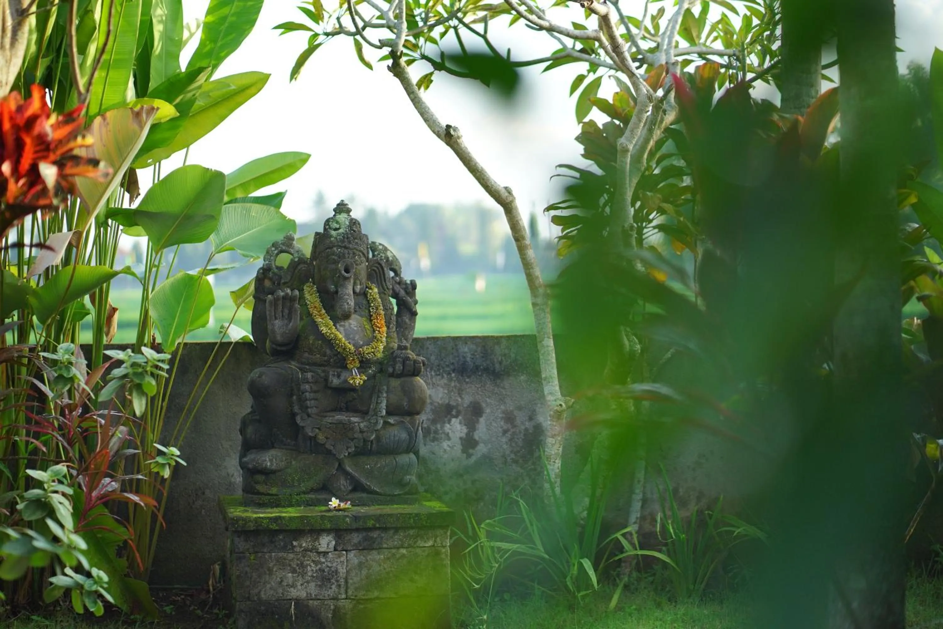 Natural landscape in Asri Sari Ubud Resort