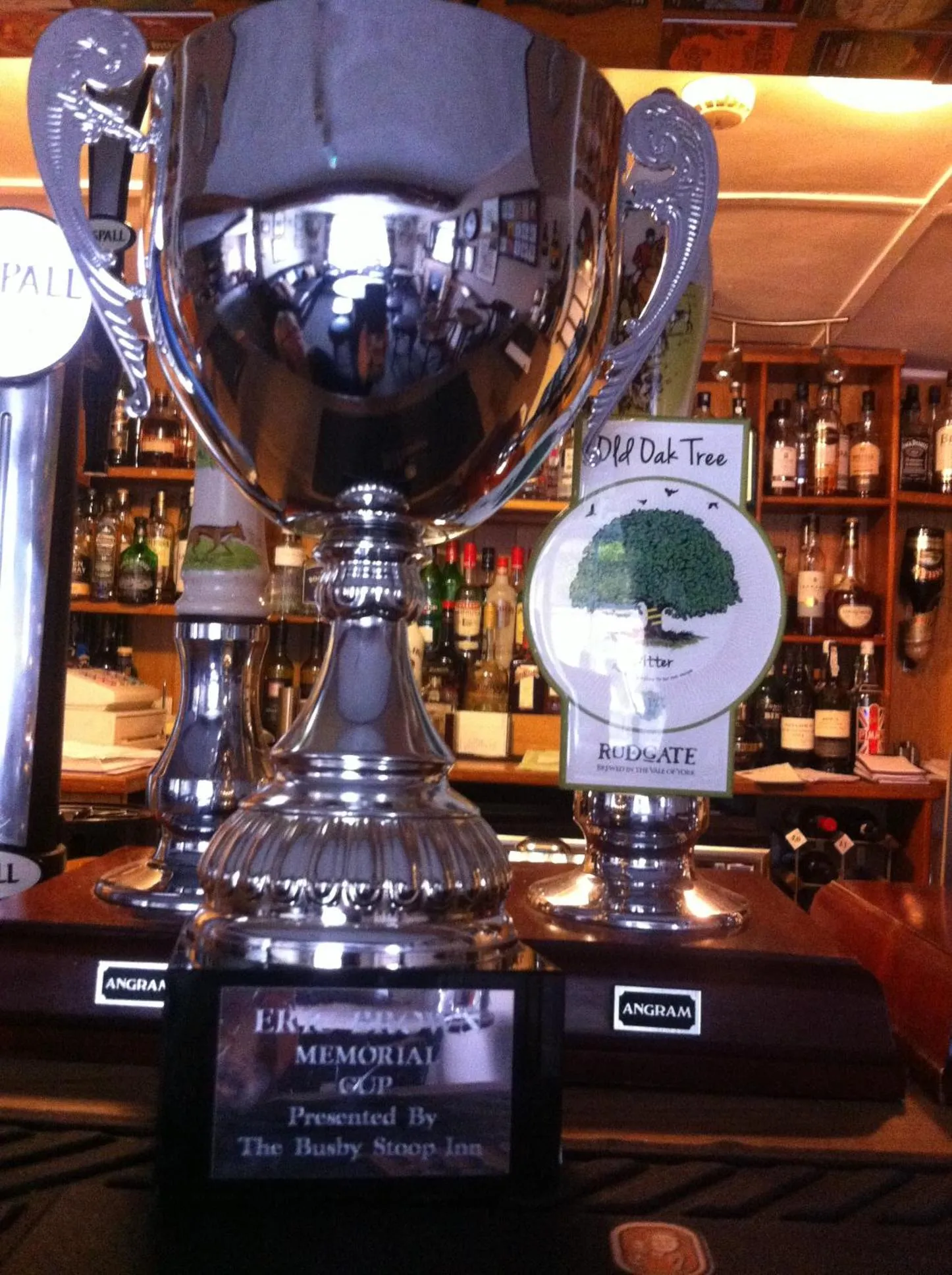 Sports in Old Oak Tree