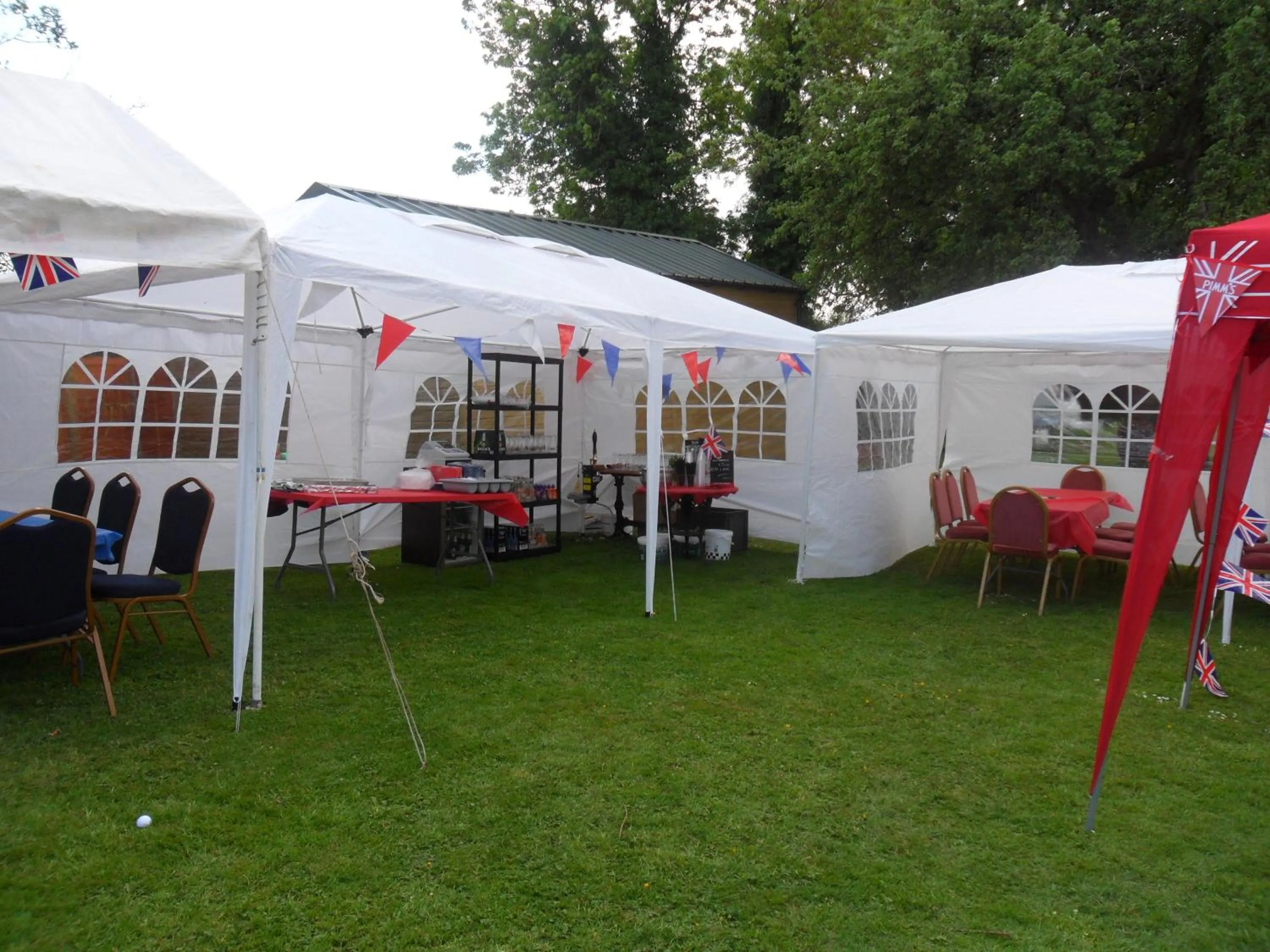 Garden in Old Oak Tree