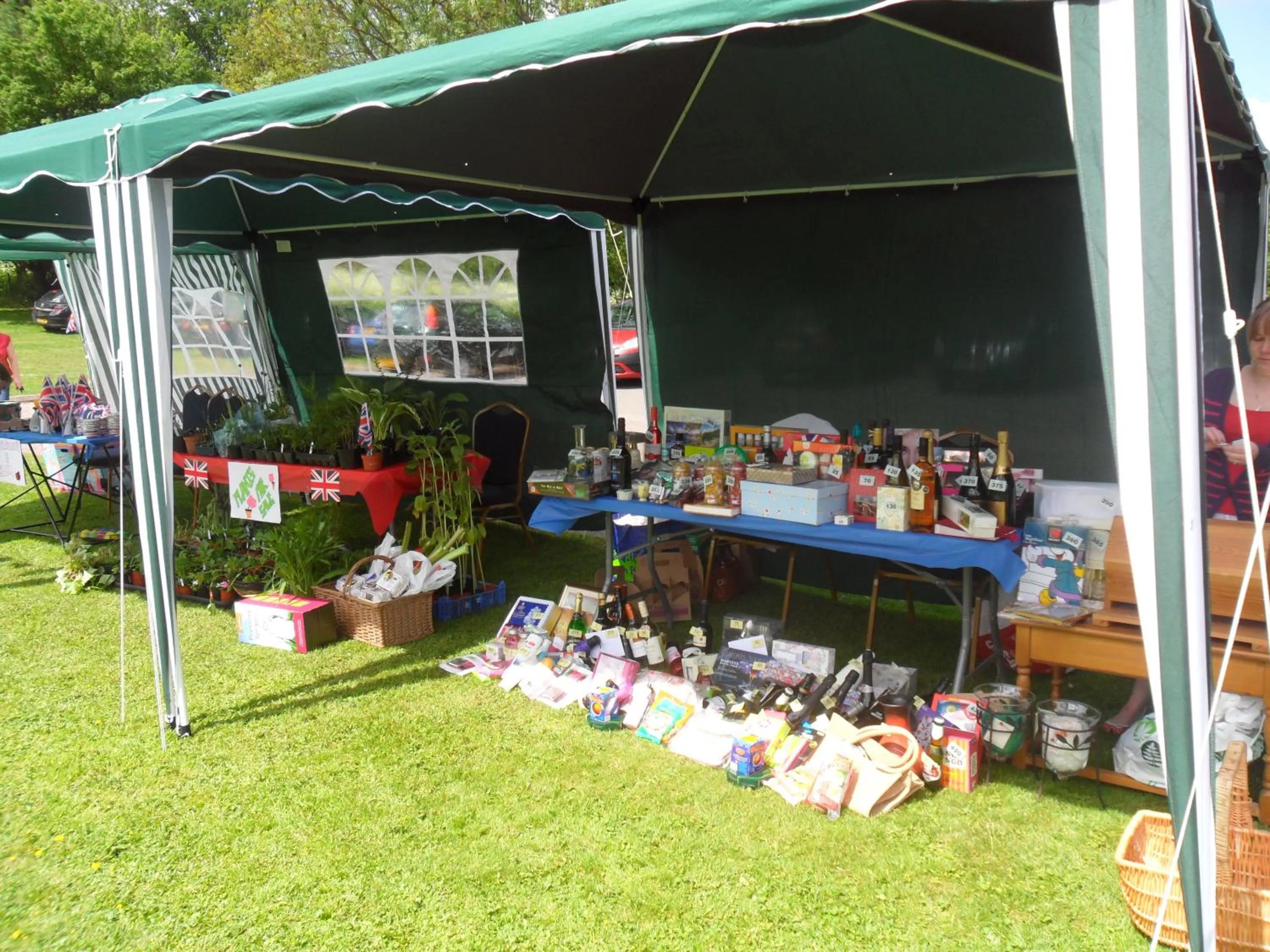 Activities in Old Oak Tree