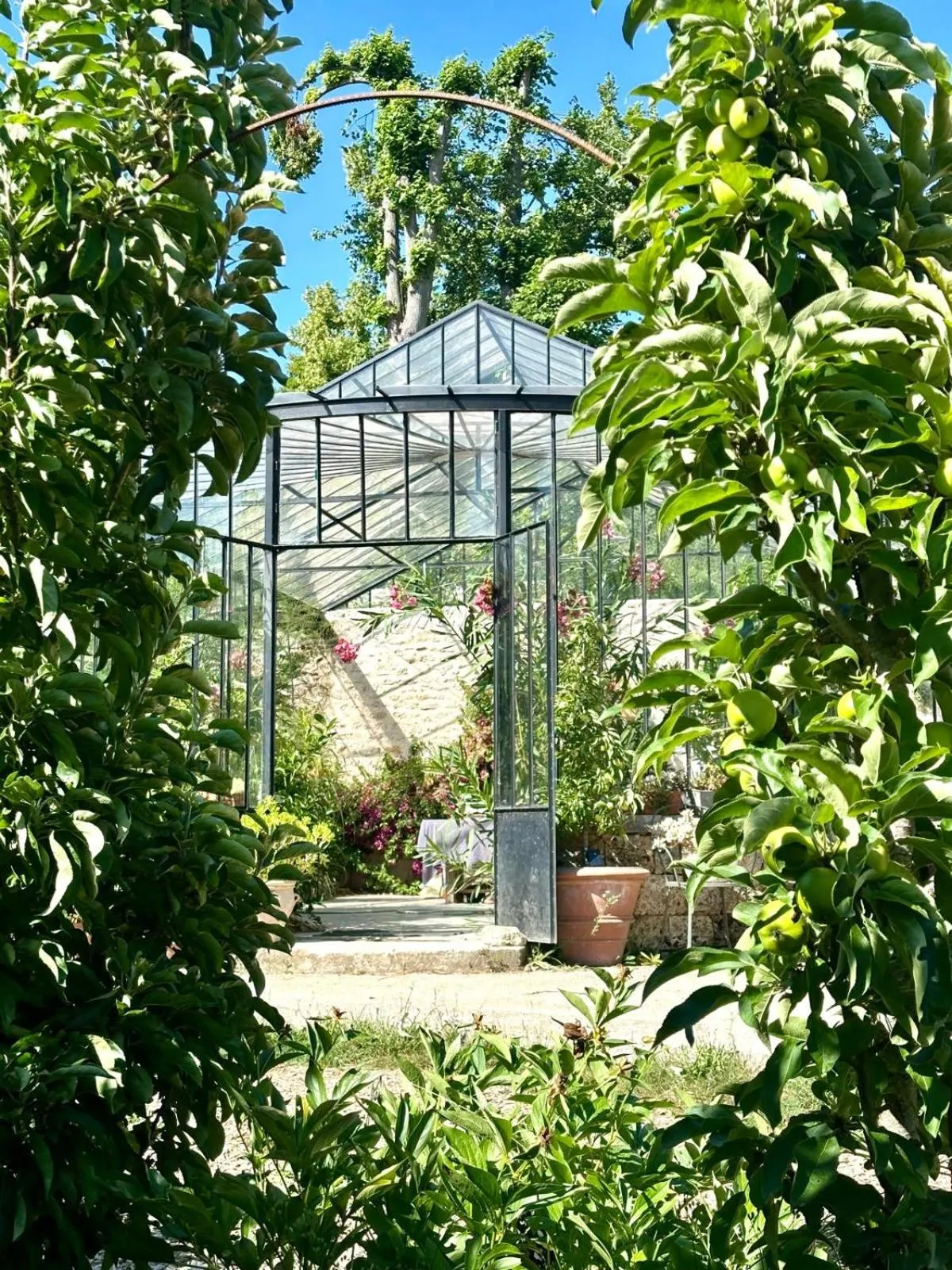 Garden in Château De La Bûcherie